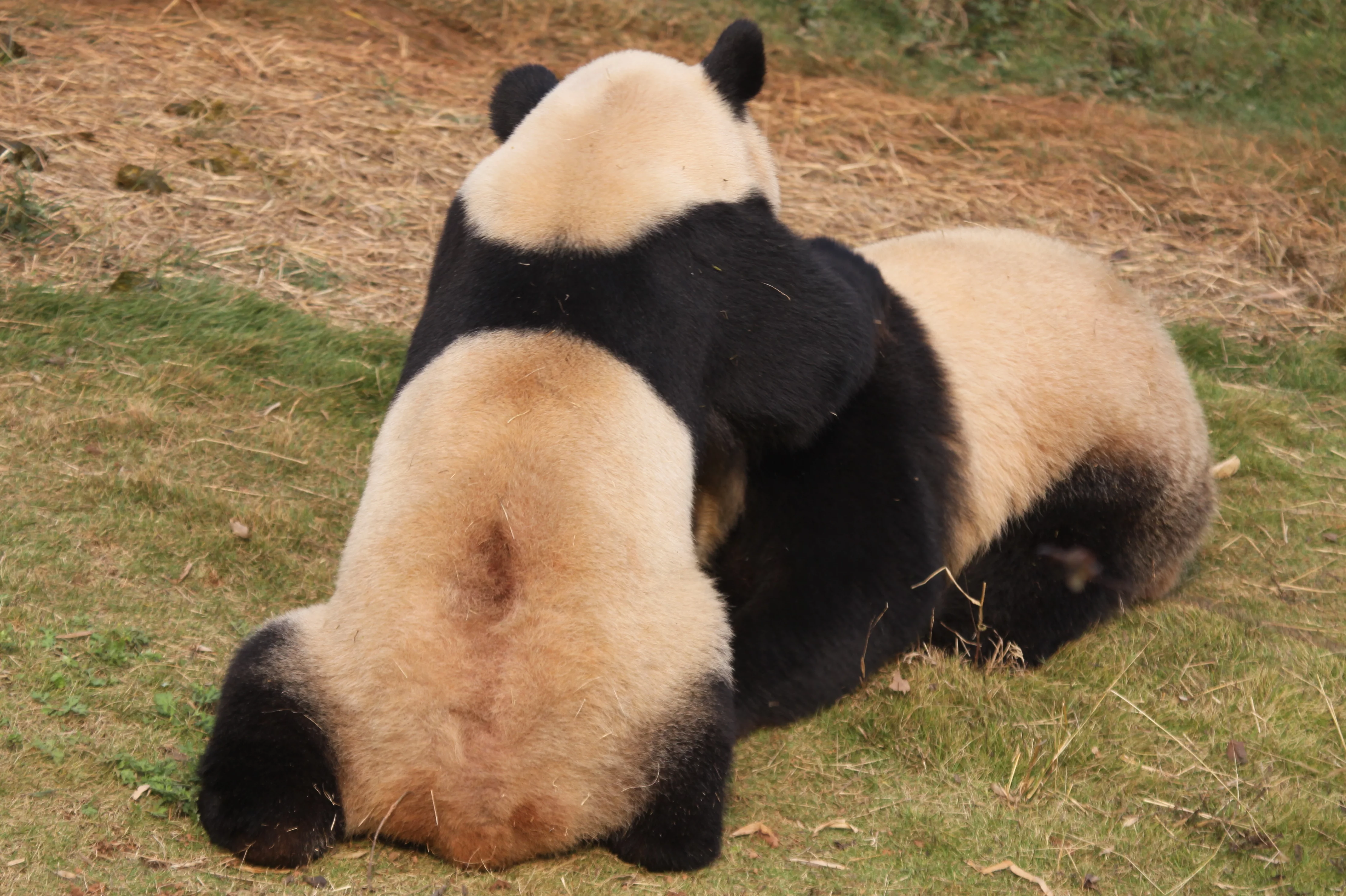 Changsha Ecological Zoo