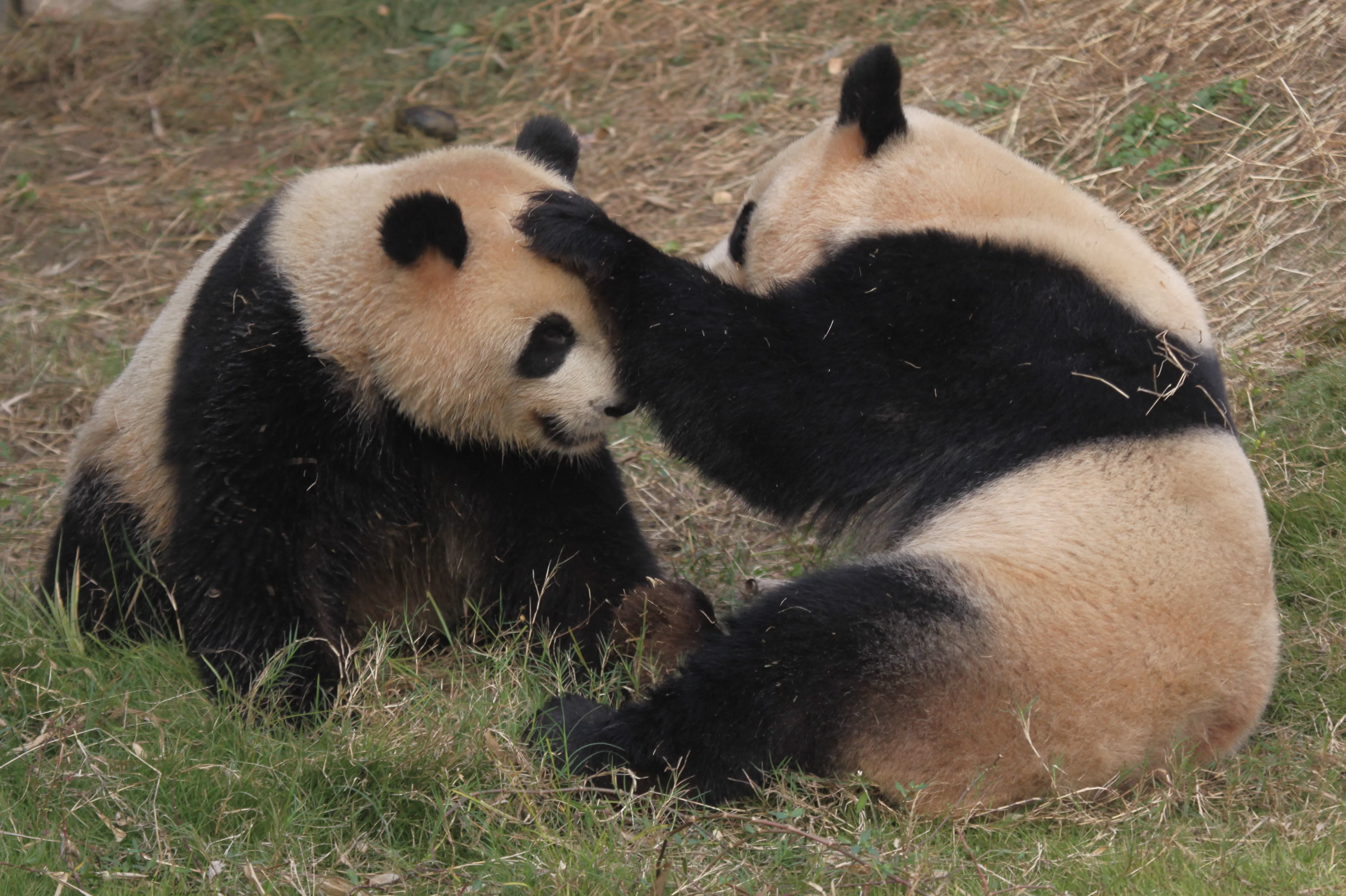 Changsha Ecological Zoo