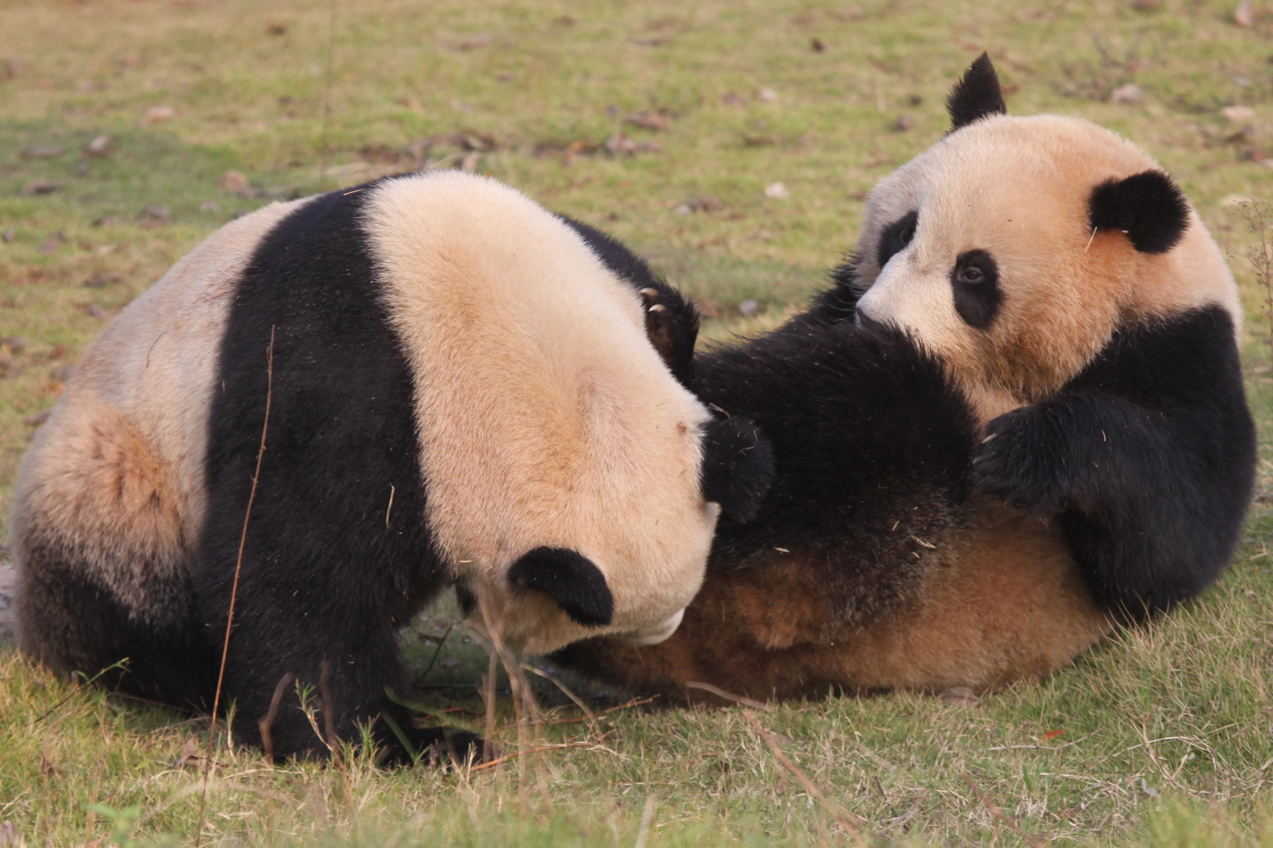 Changsha Ecological Zoo