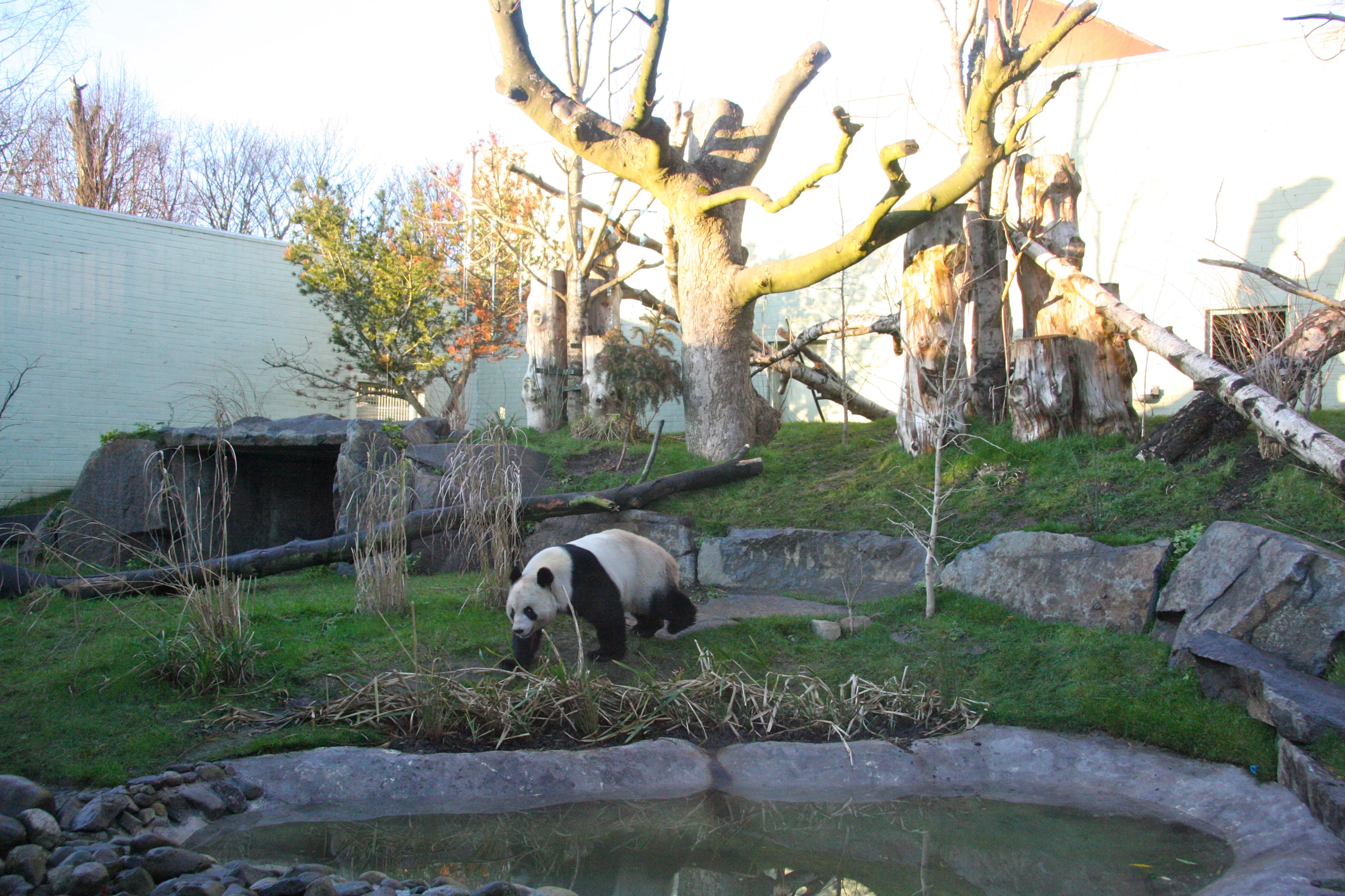 RZSS Edinburgh Zoo