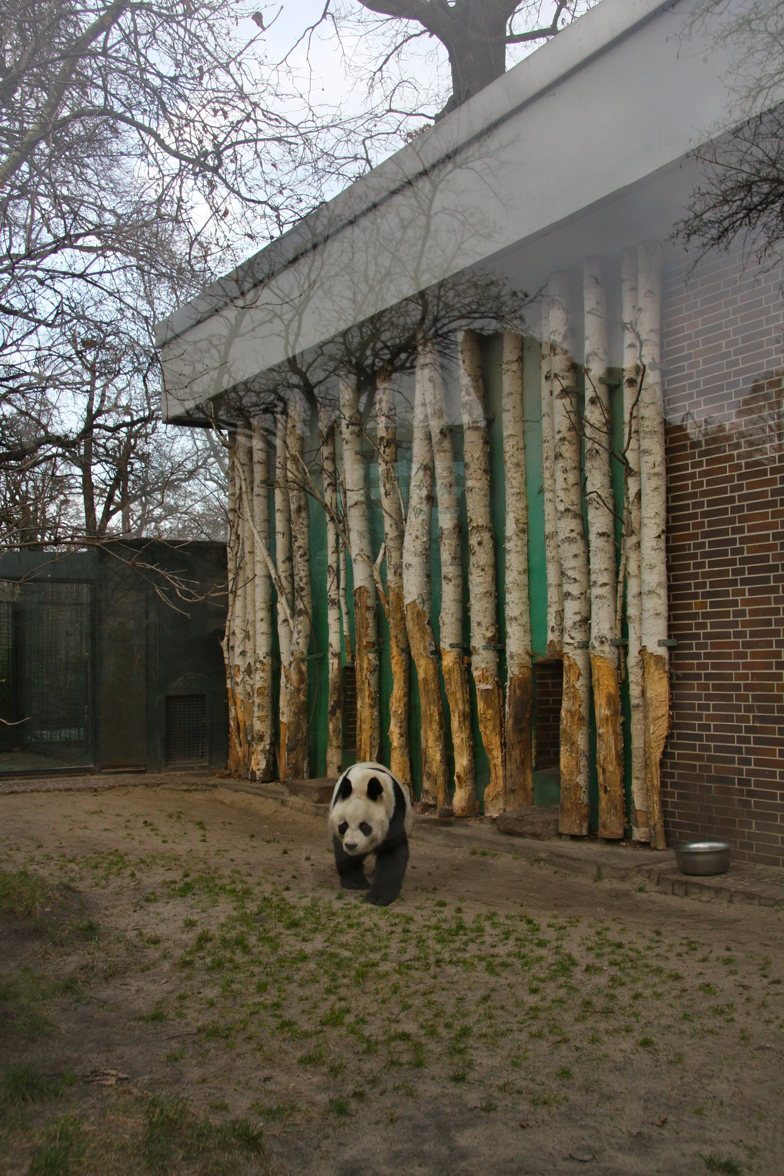 Zoo Berlin