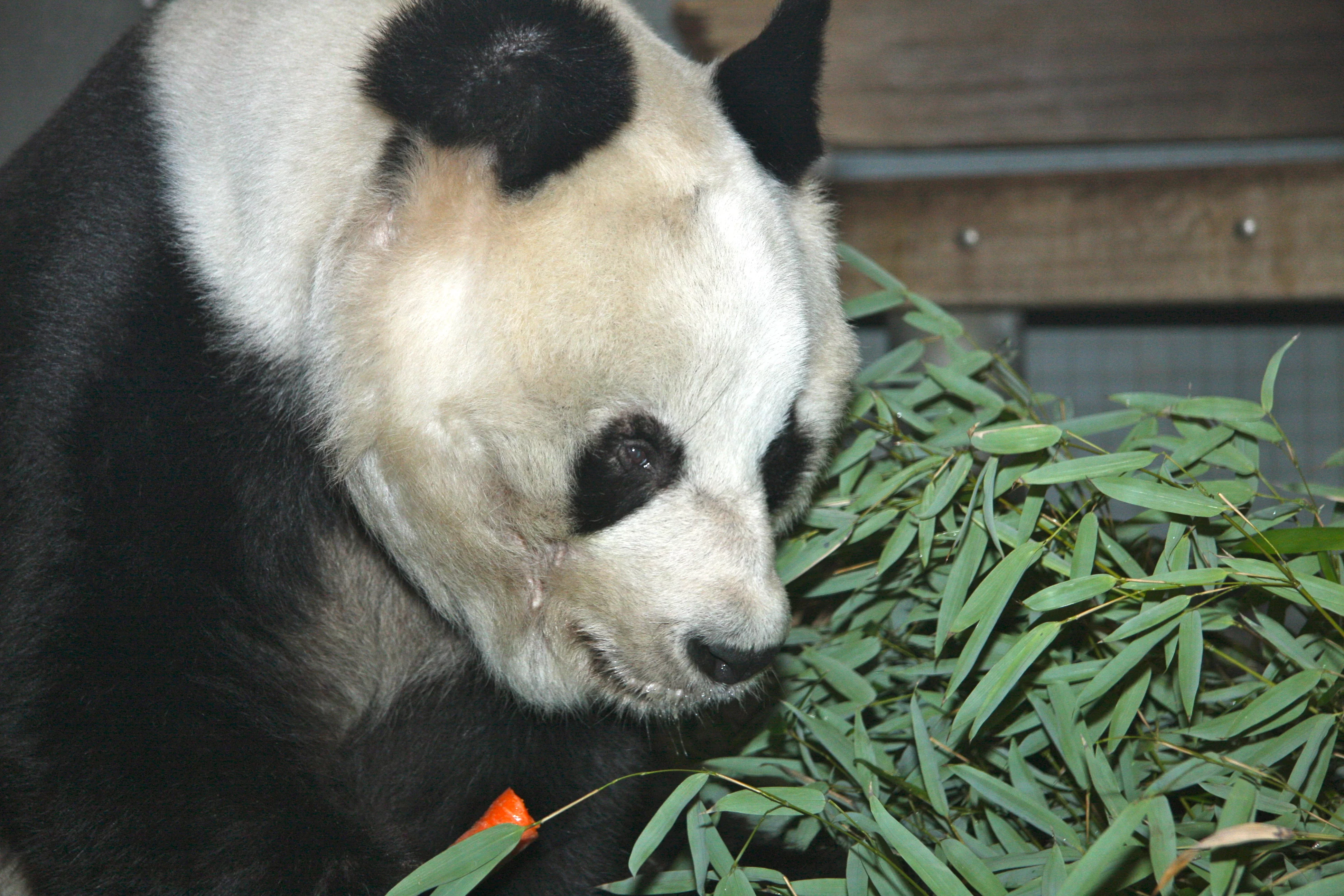 Zoo Berlin