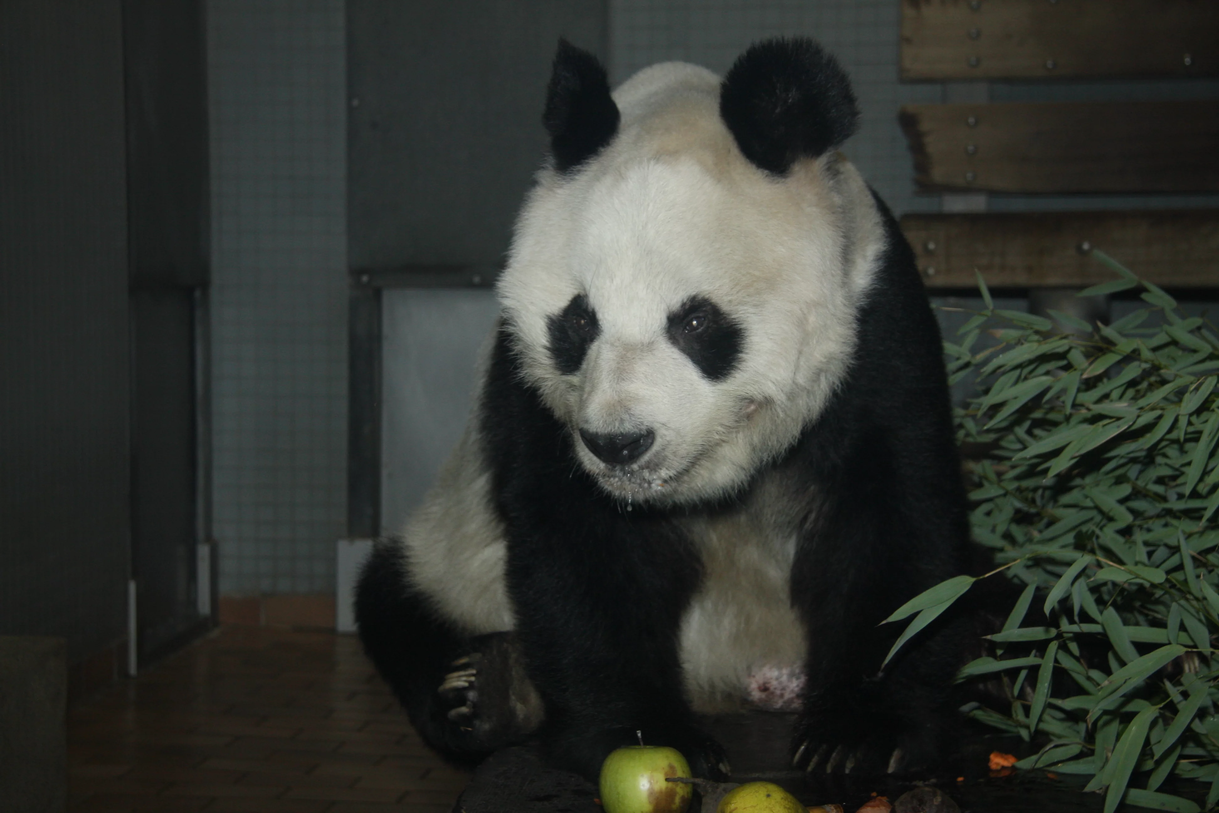 Zoo Berlin