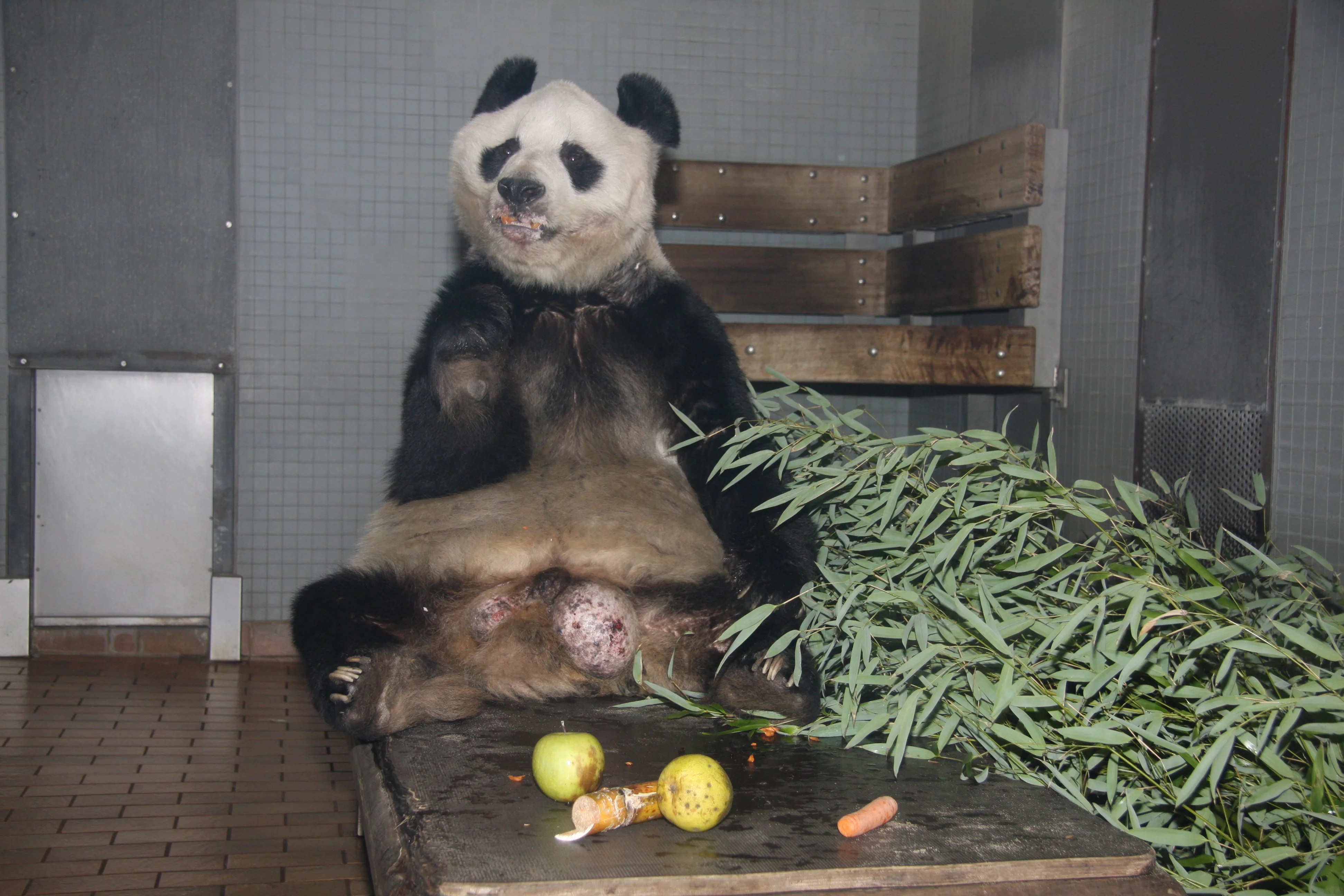 Zoo Berlin