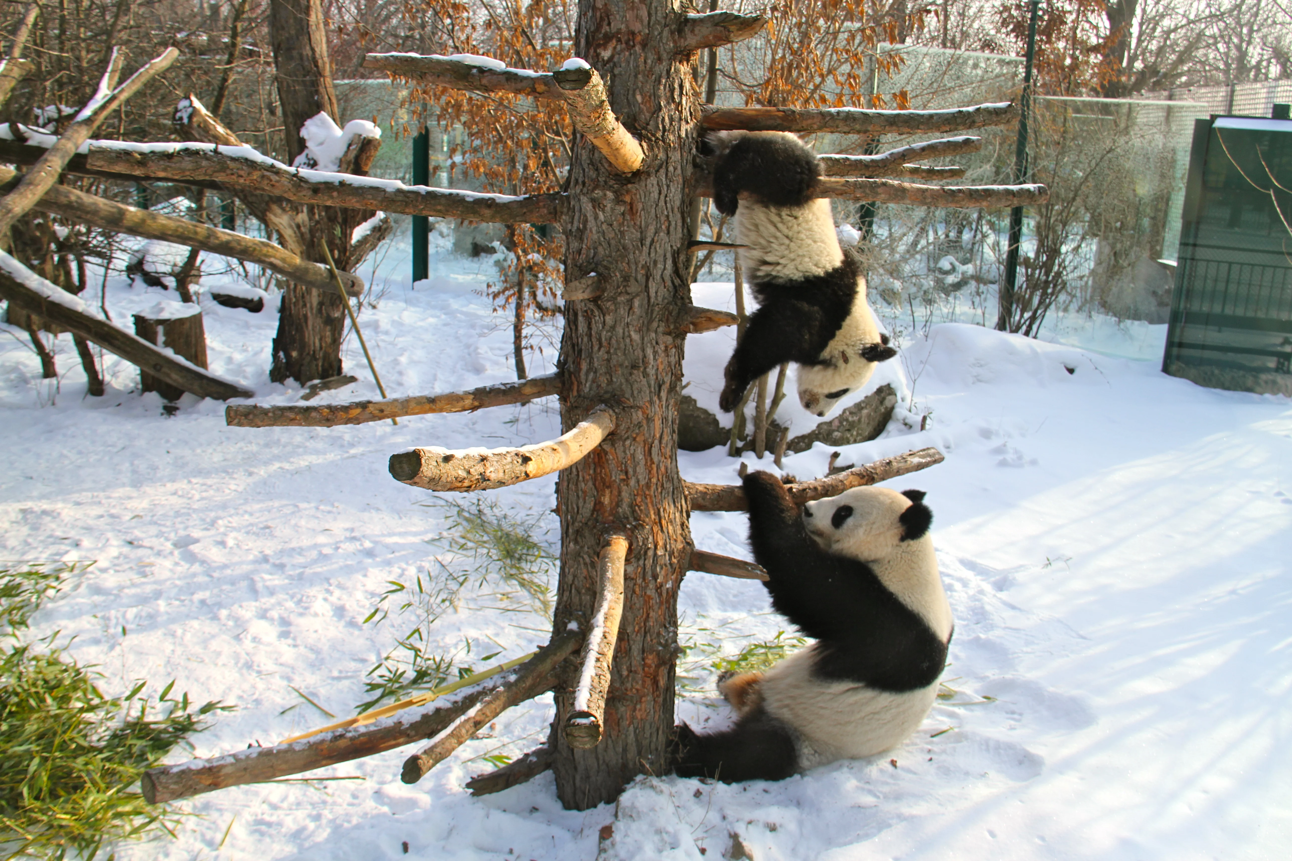 Tiergarten Schönbrunn