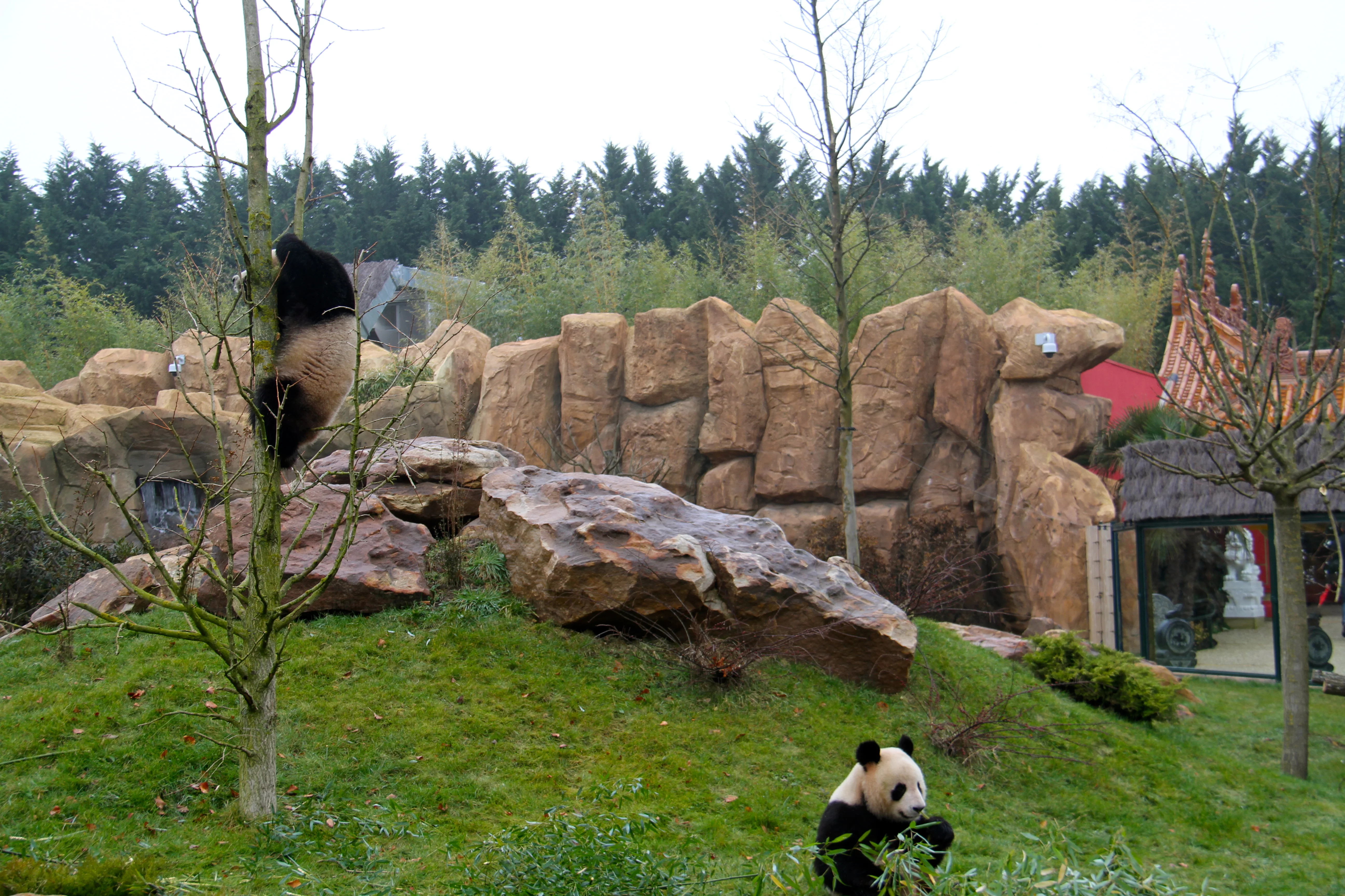 ZooParc de Beauval