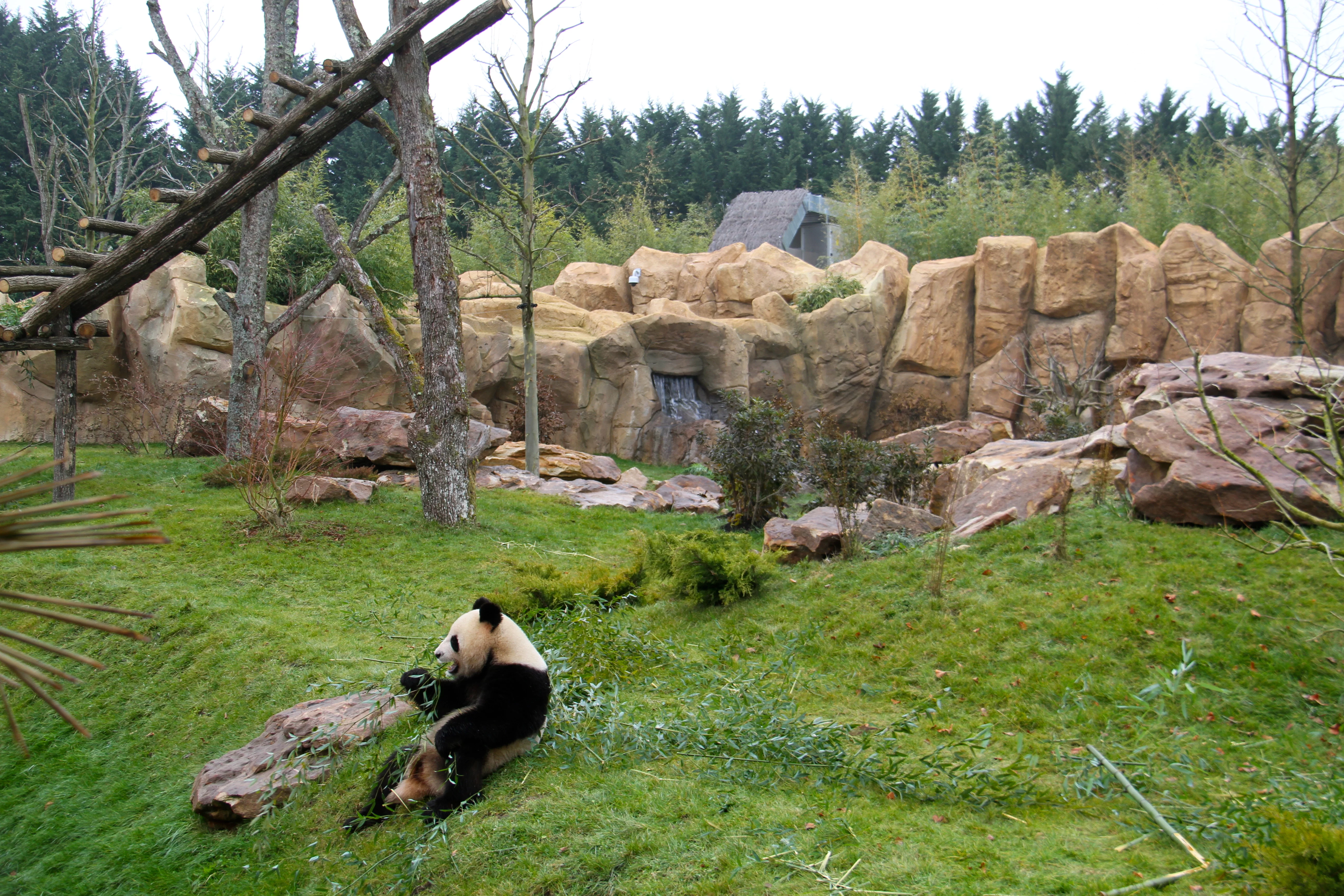 ZooParc de Beauval