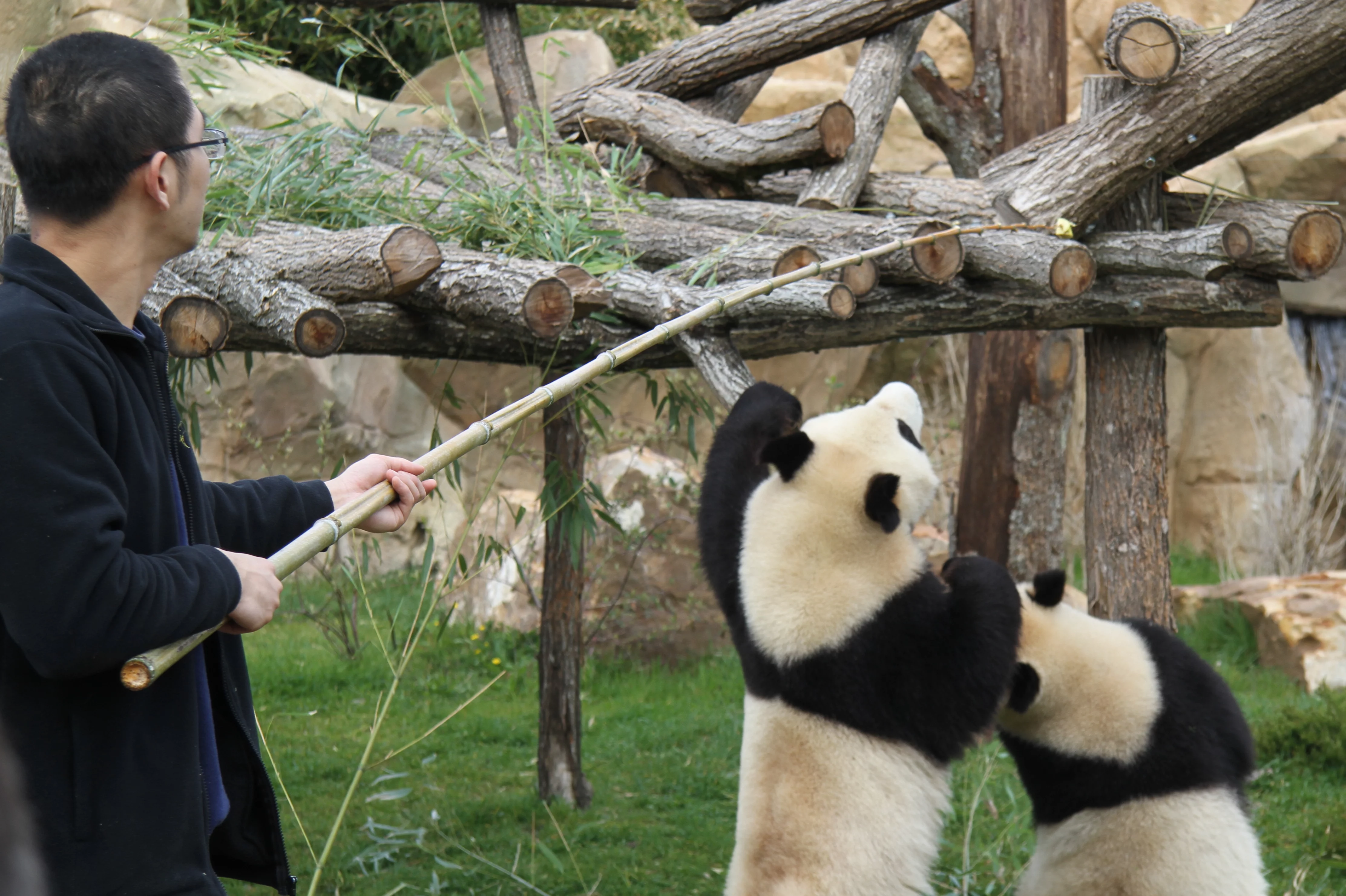 ZooParc de Beauval