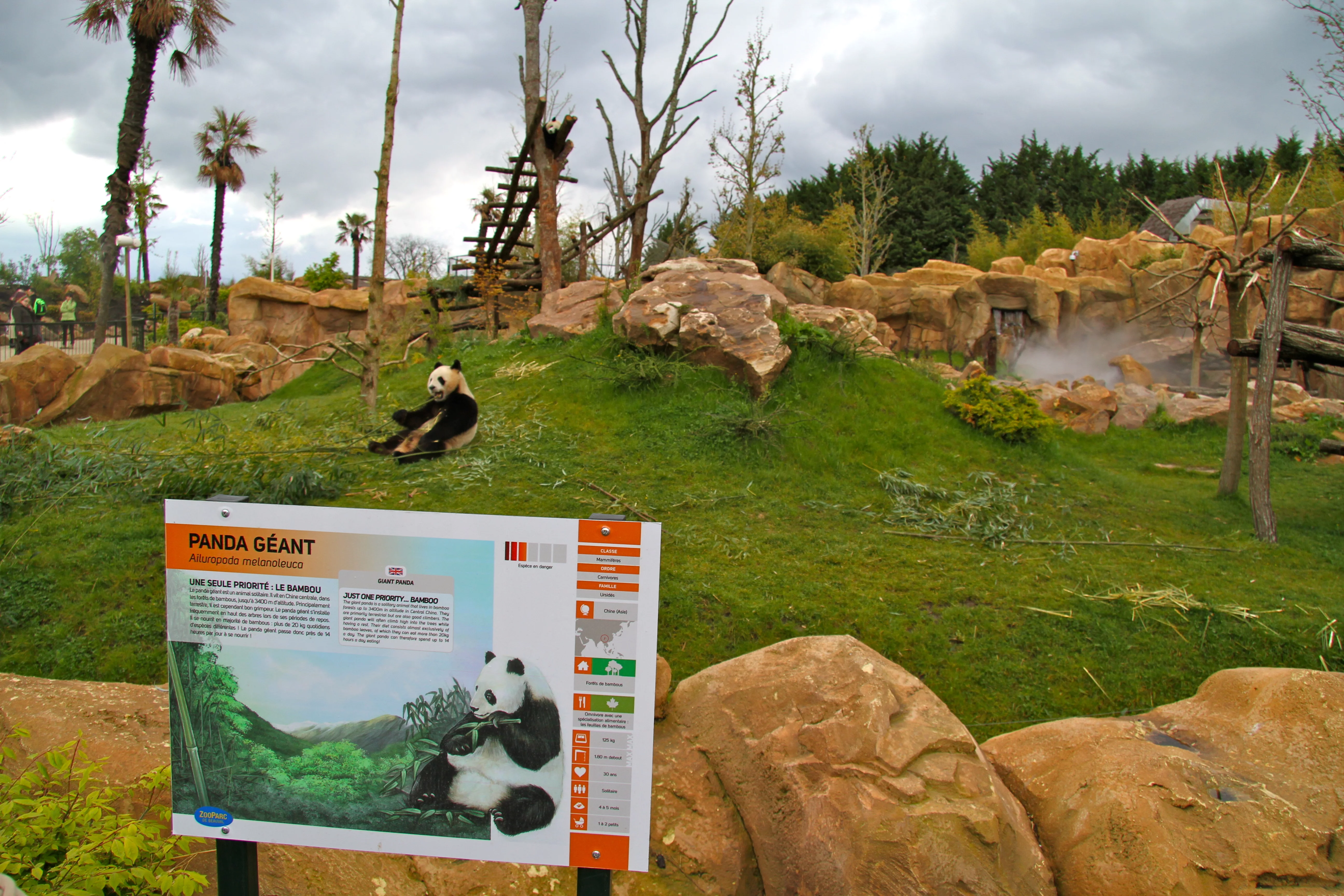 ZooParc de Beauval