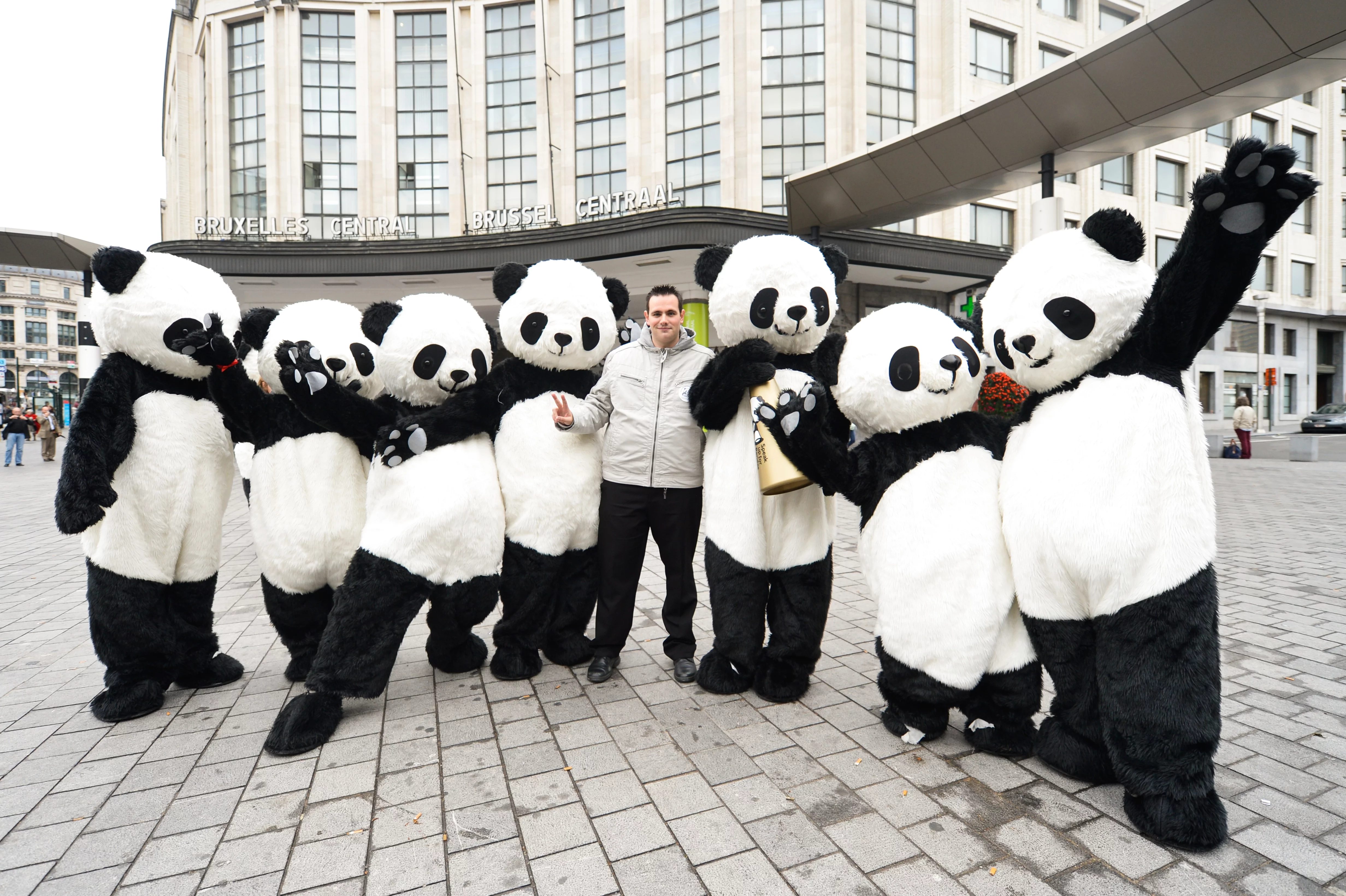 Chengdu Pambassador 2012 Promotion Tour in Brussels