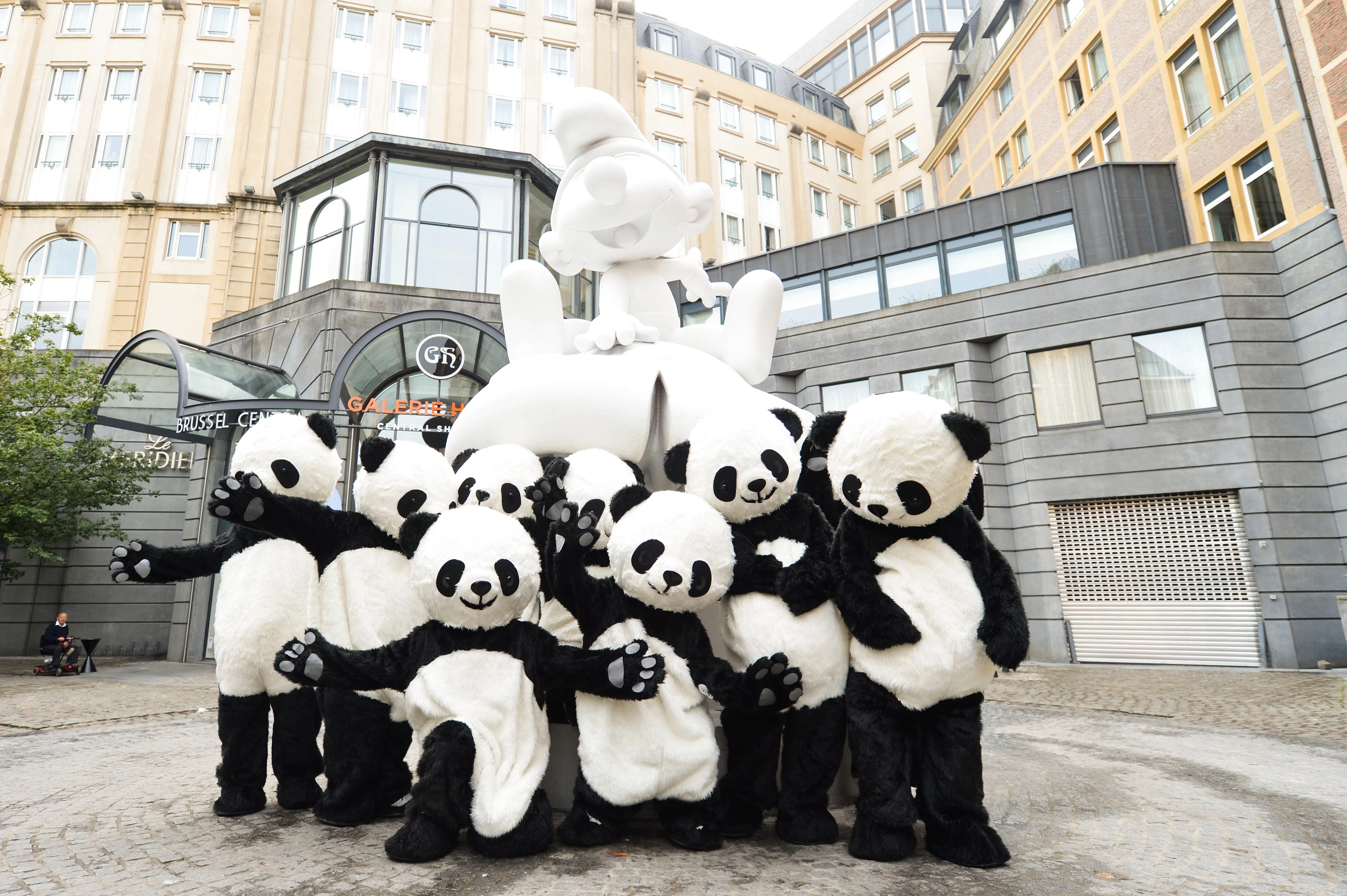 Chengdu Pambassador 2012 Promotion Tour in Brussels