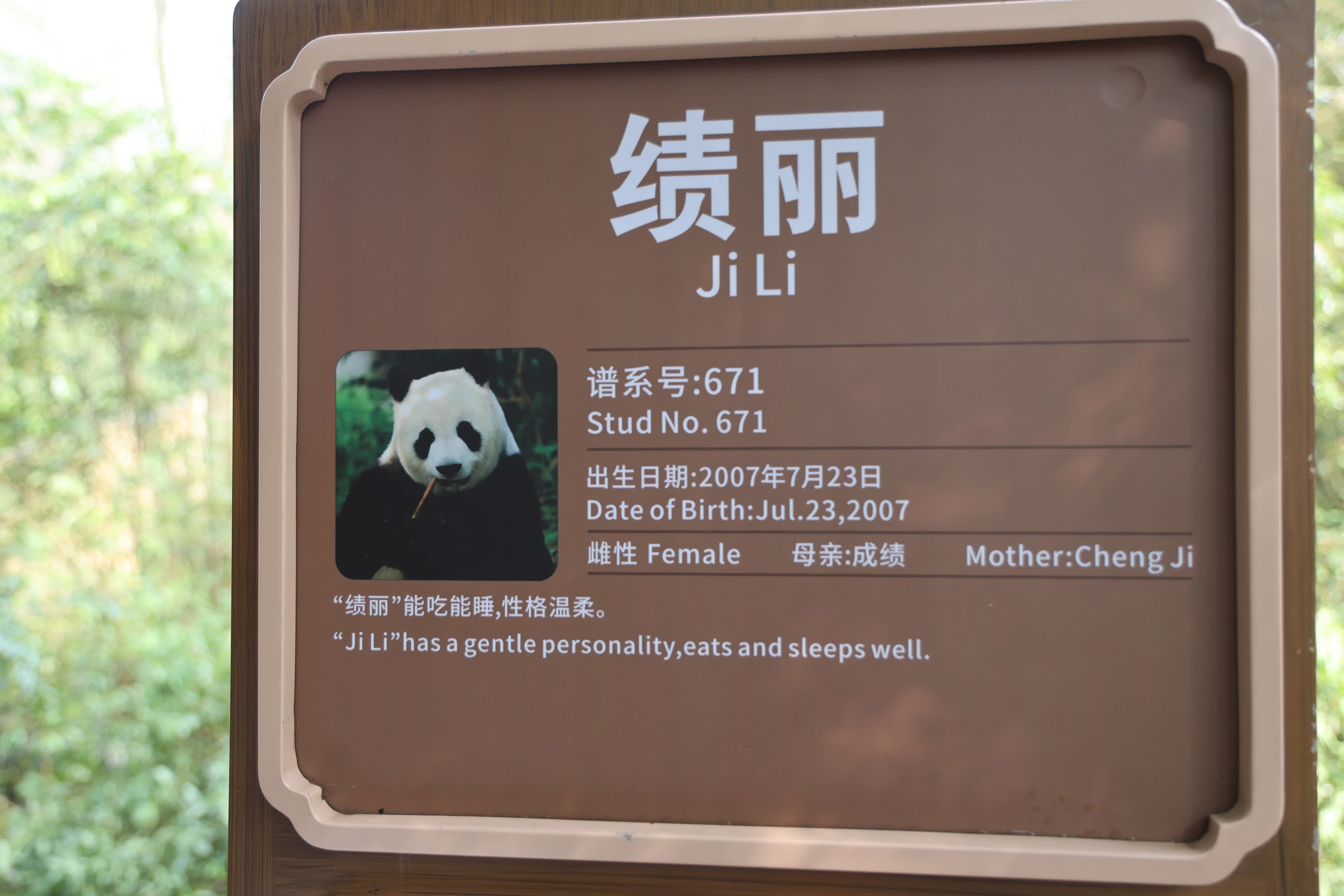 Chengdu Research Base of Giant Panda Breeding