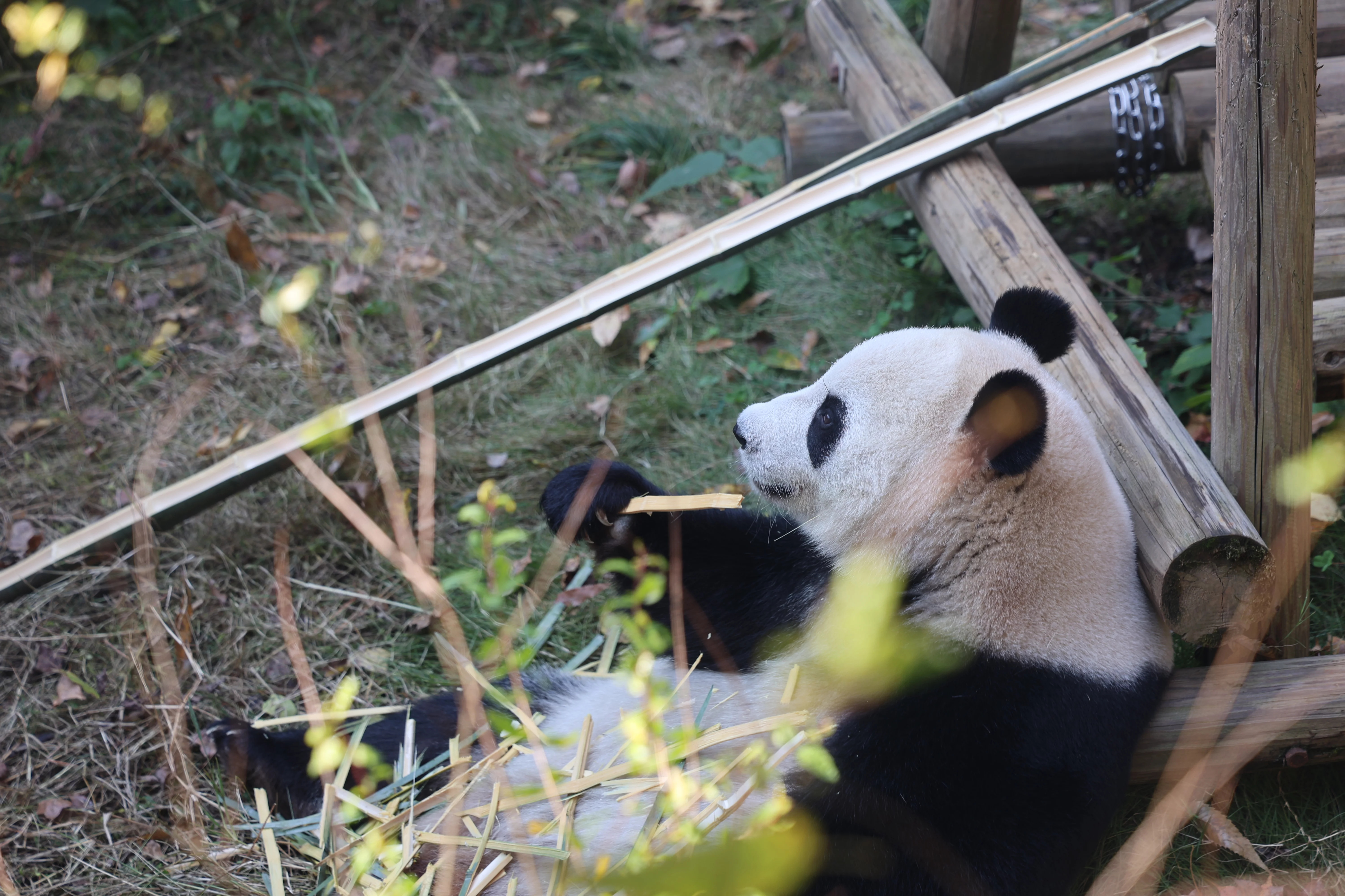 Hangzhou Zoo
