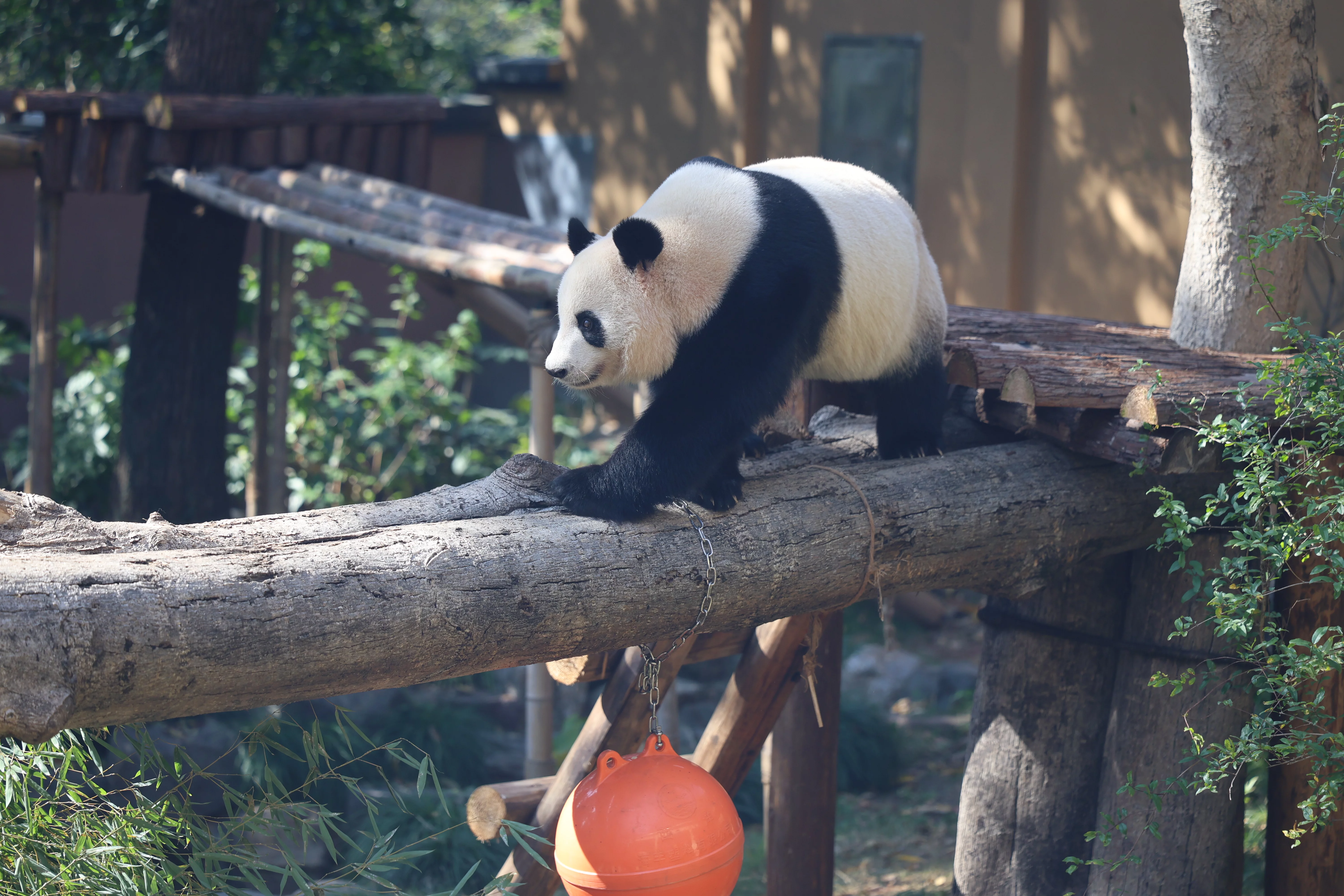 Hangzhou Zoo