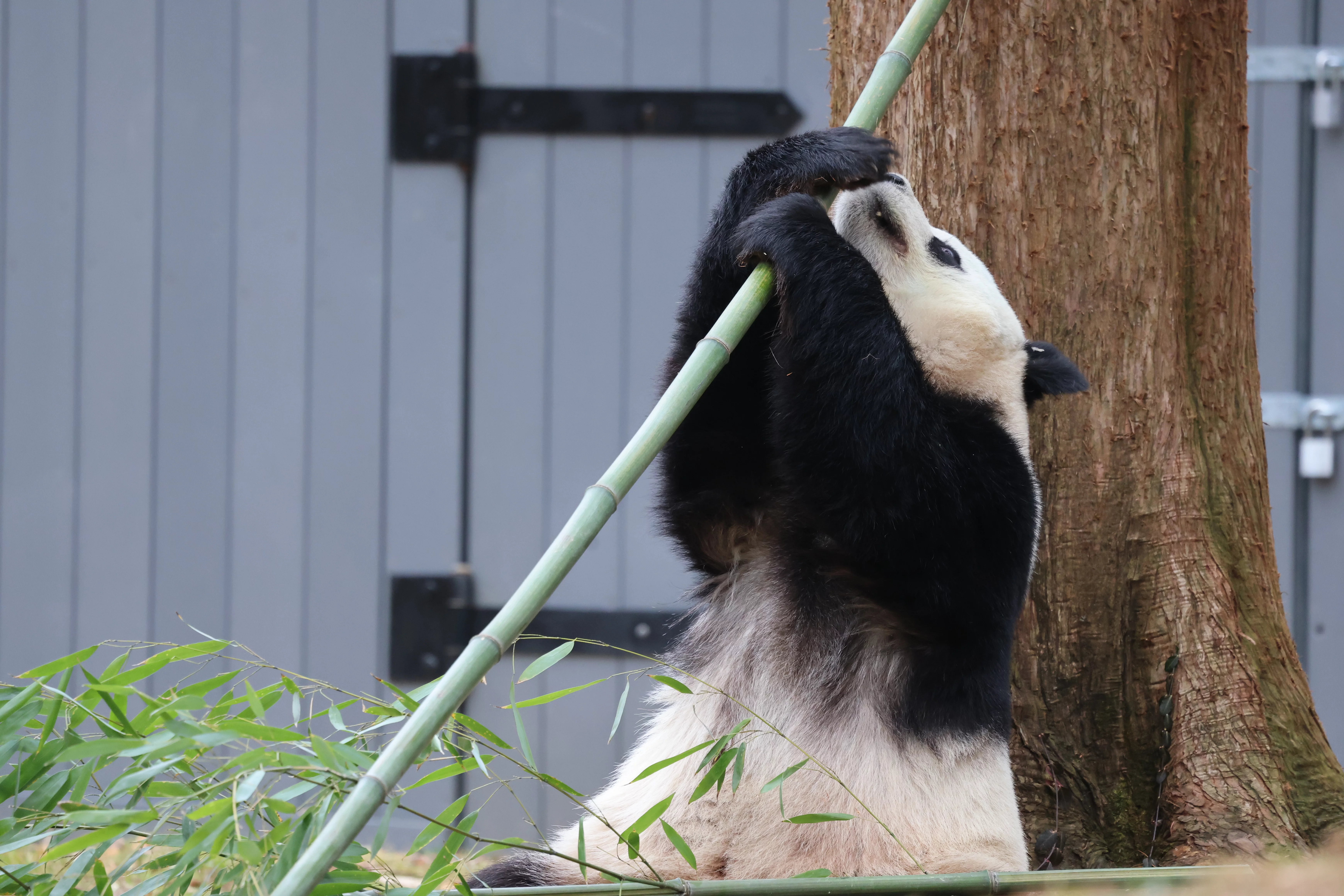 Smithsonian's National Zoo