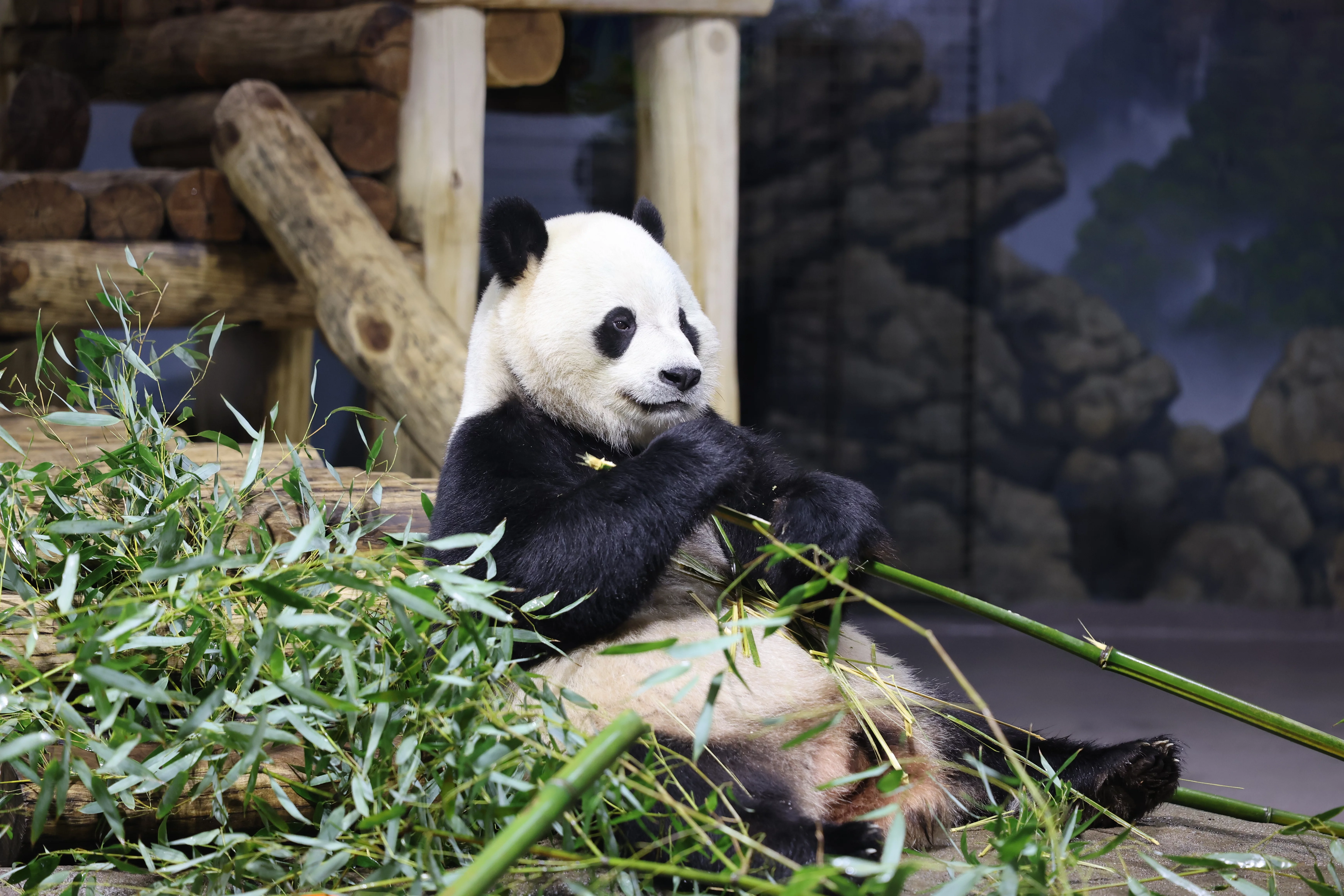 Smithsonian's National Zoo