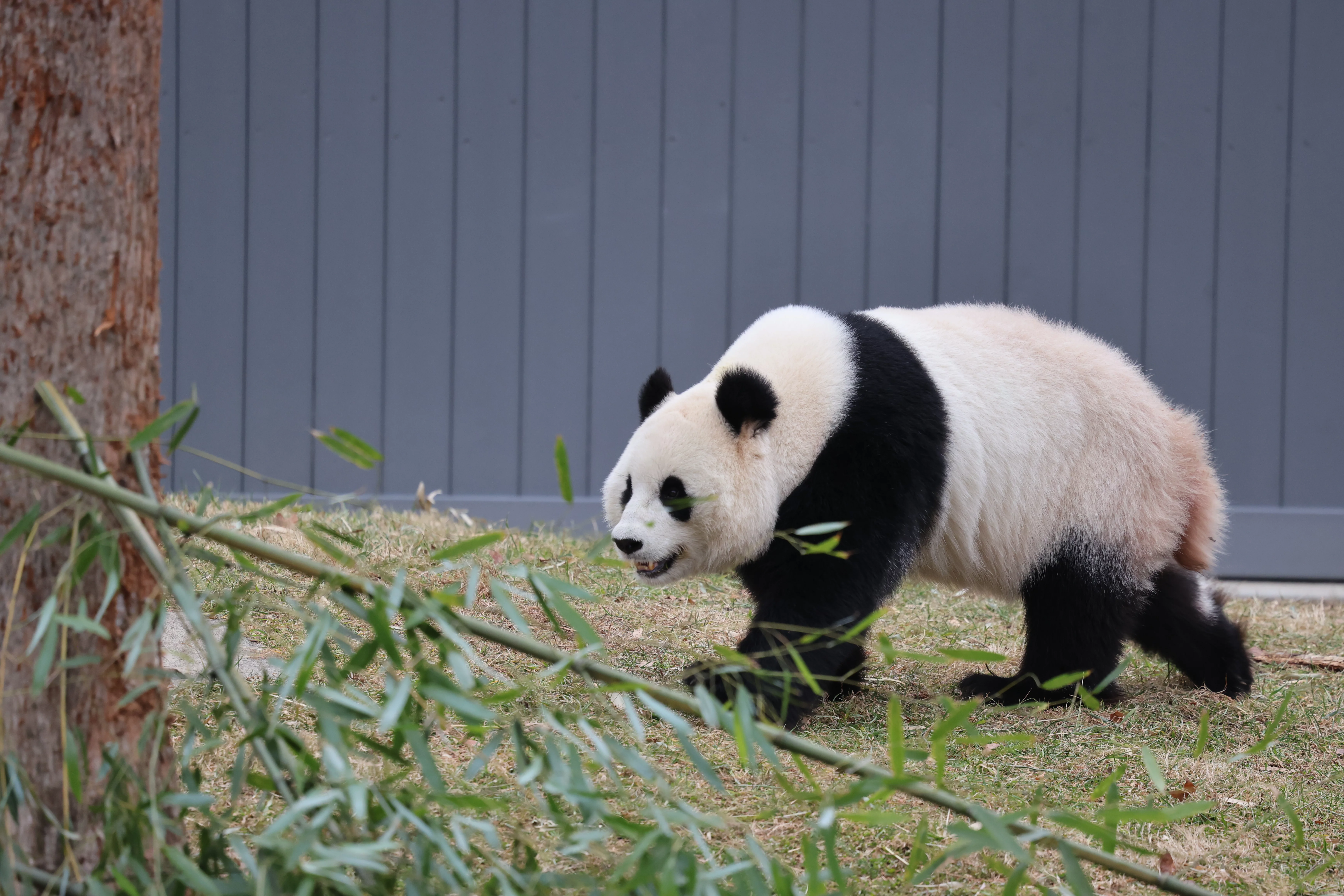 Smithsonian's National Zoo