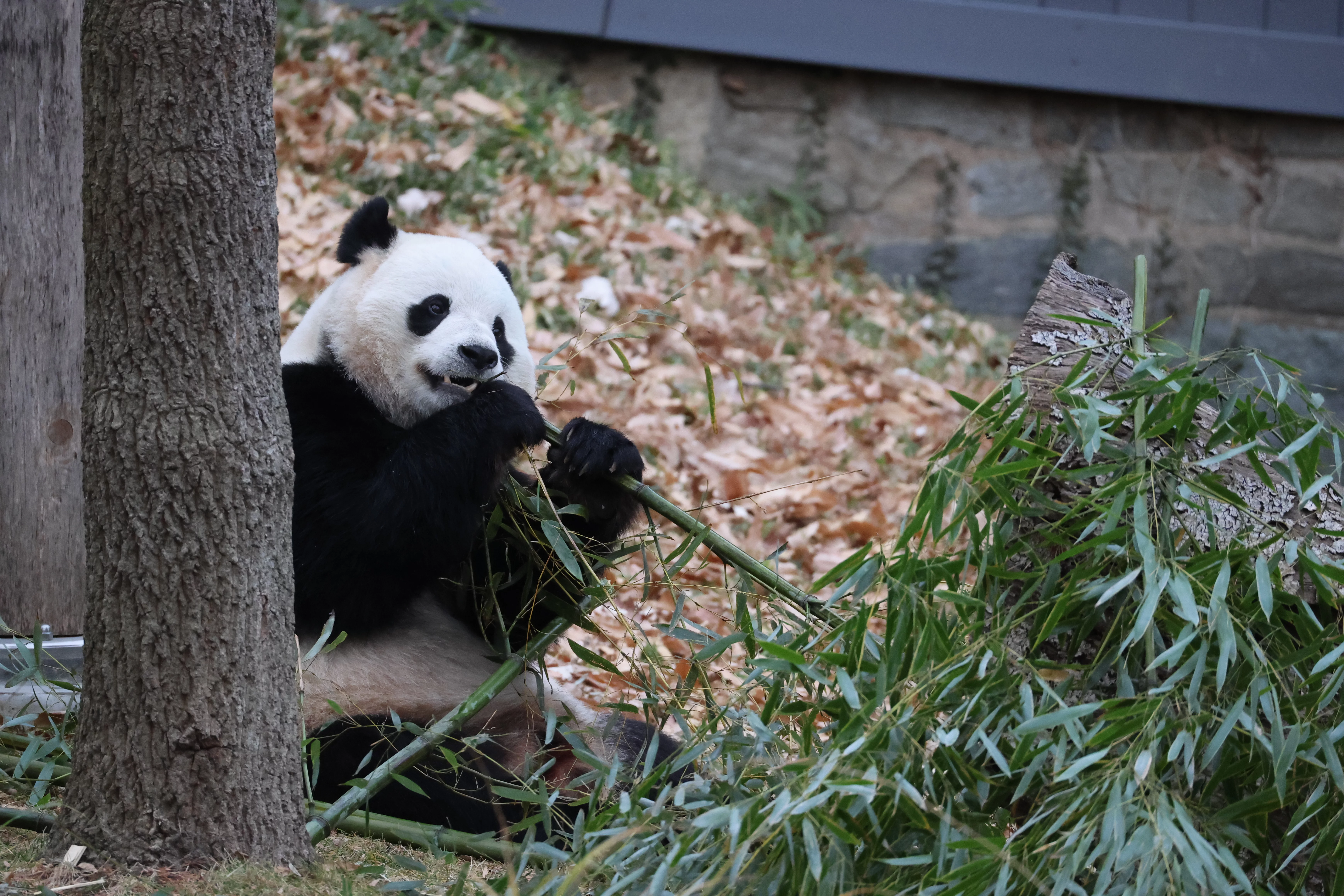 Smithsonian's National Zoo