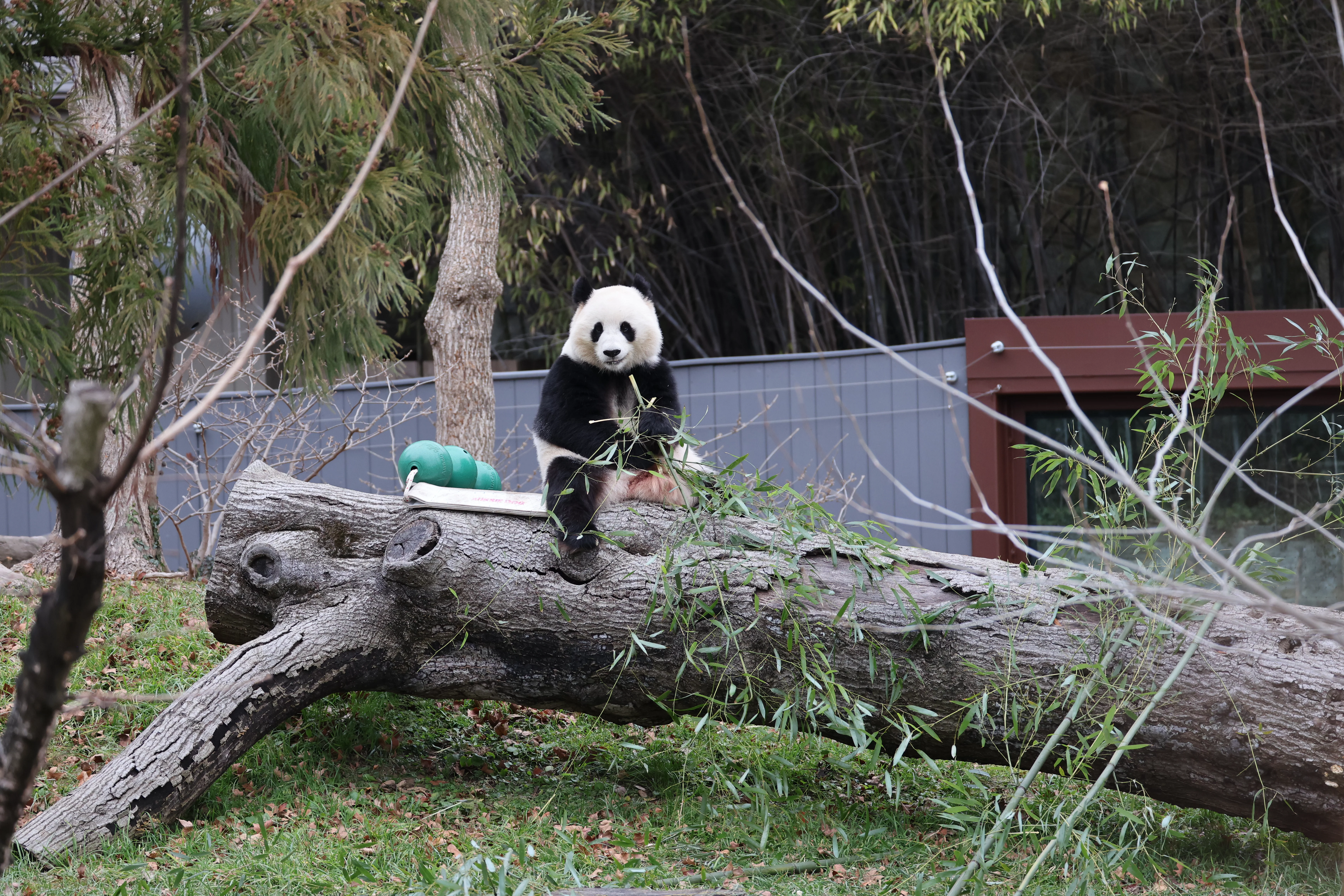 Smithsonian's National Zoo