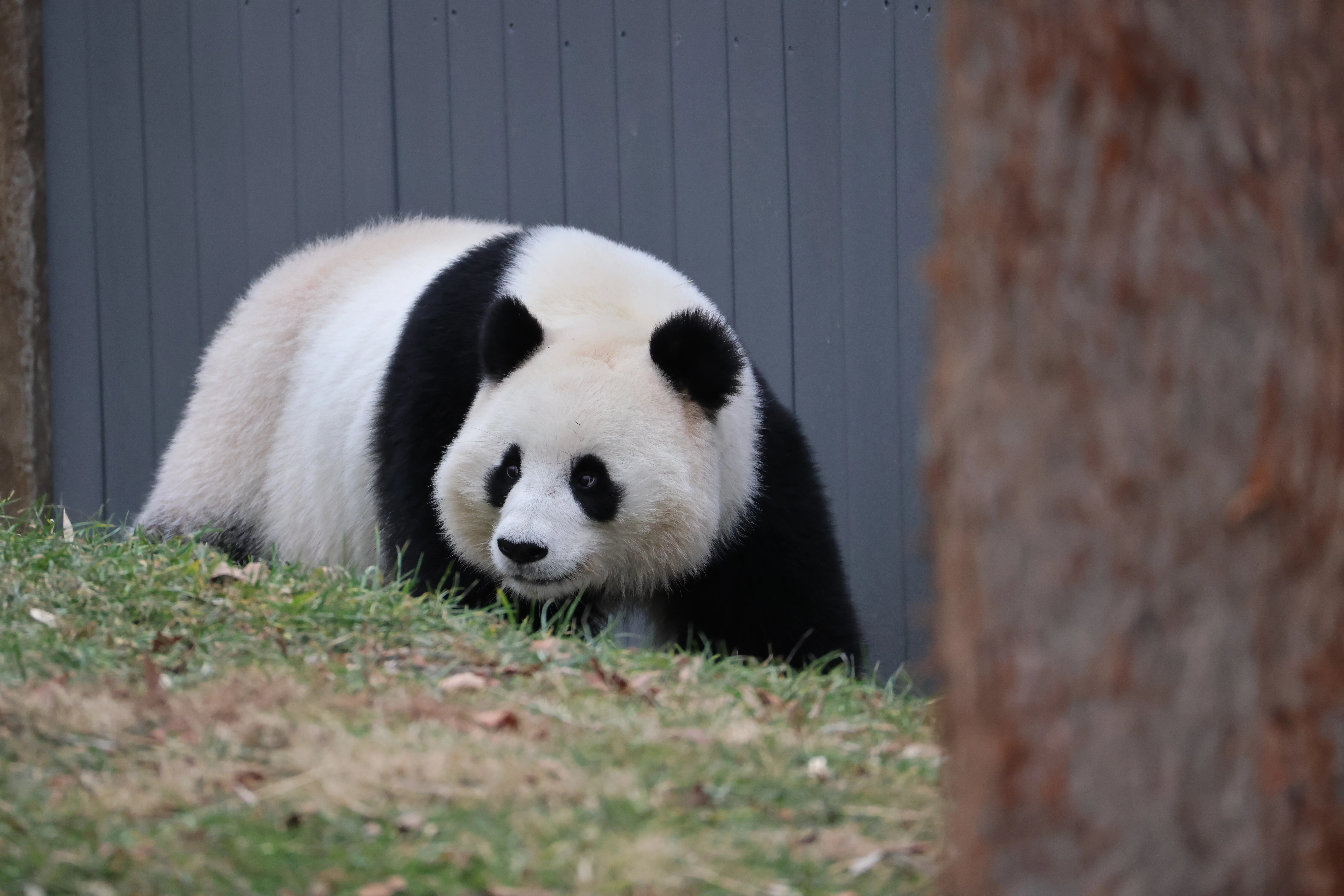 Smithsonian's National Zoo