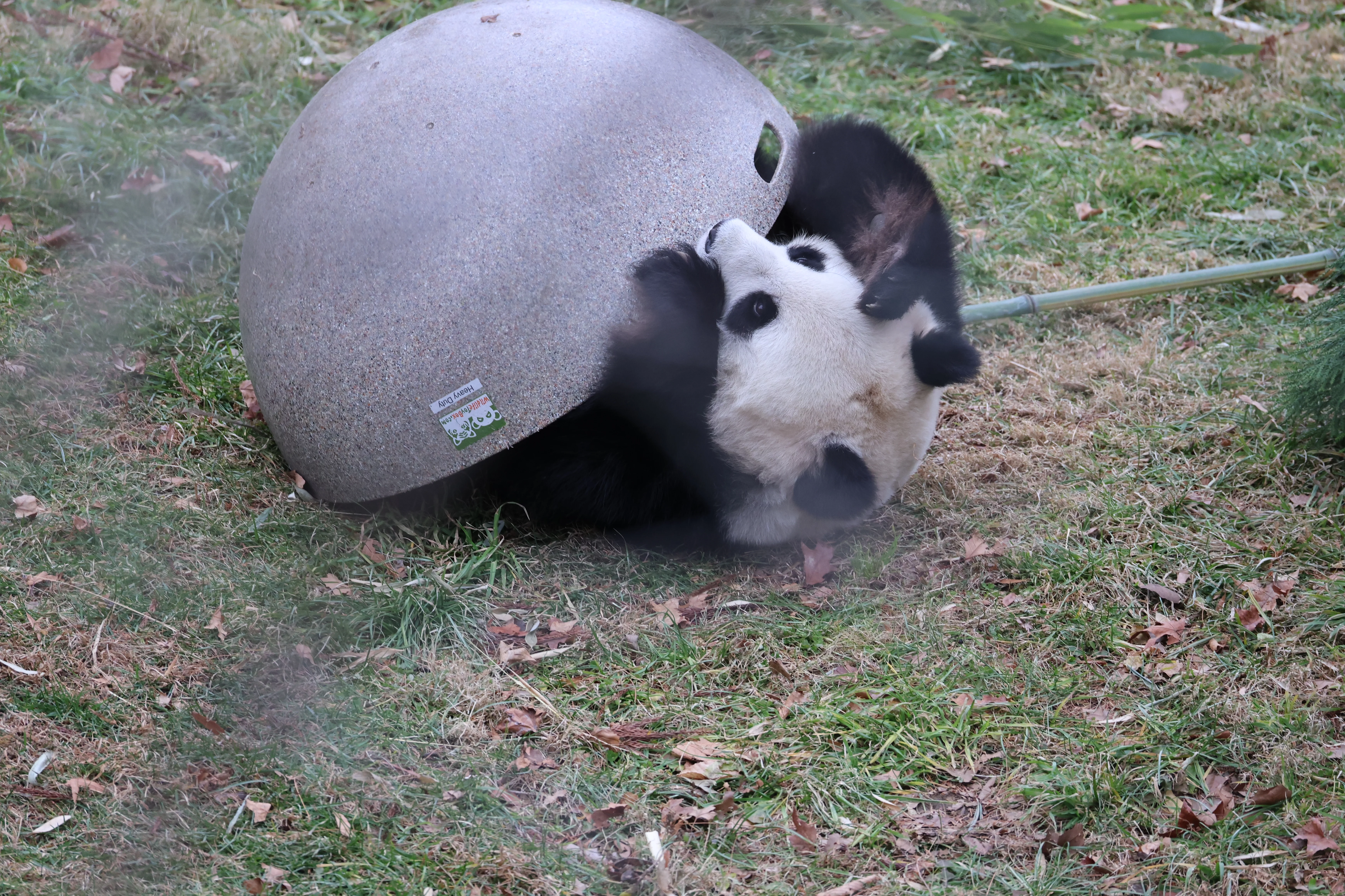 Smithsonian's National Zoo