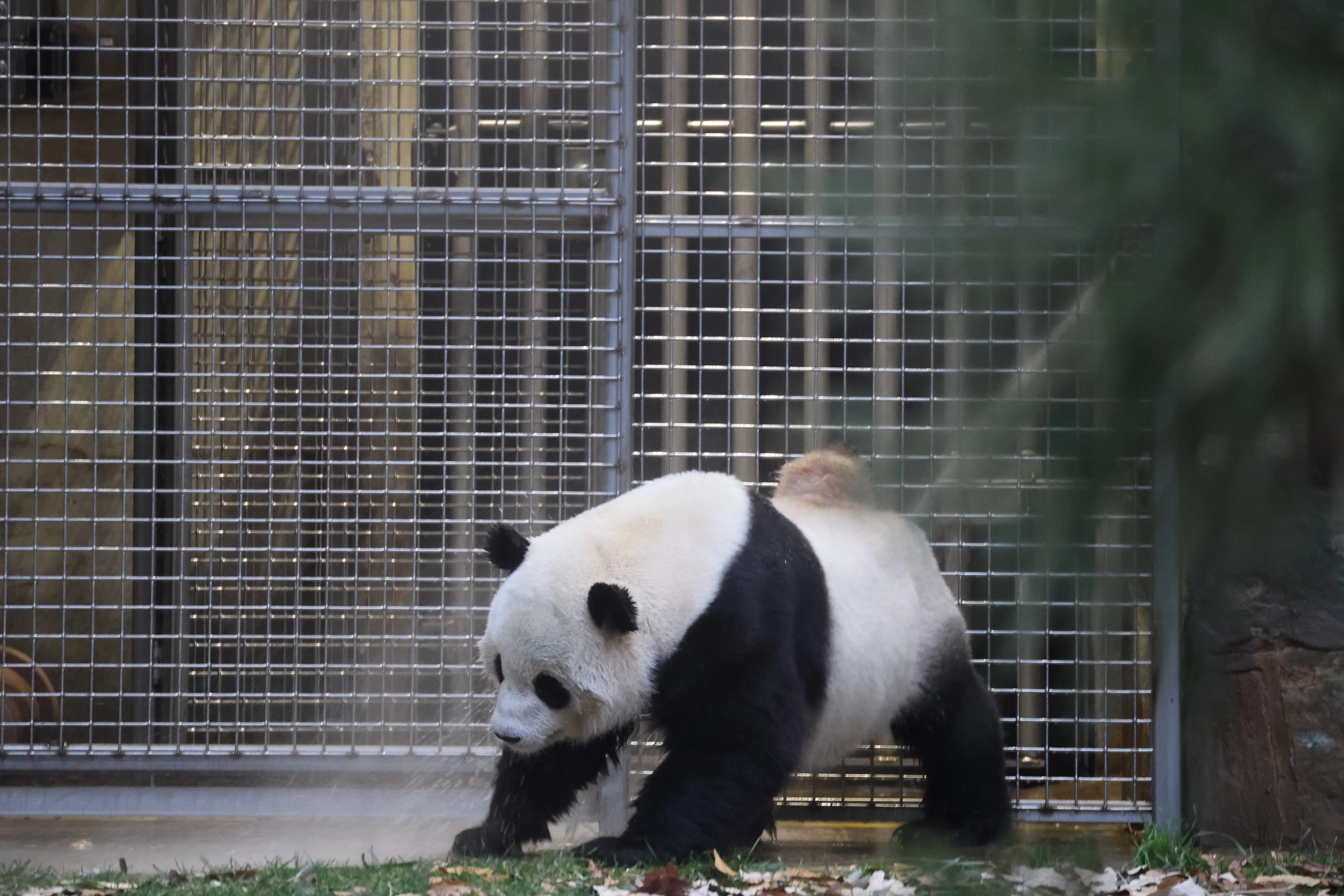 Smithsonian's National Zoo