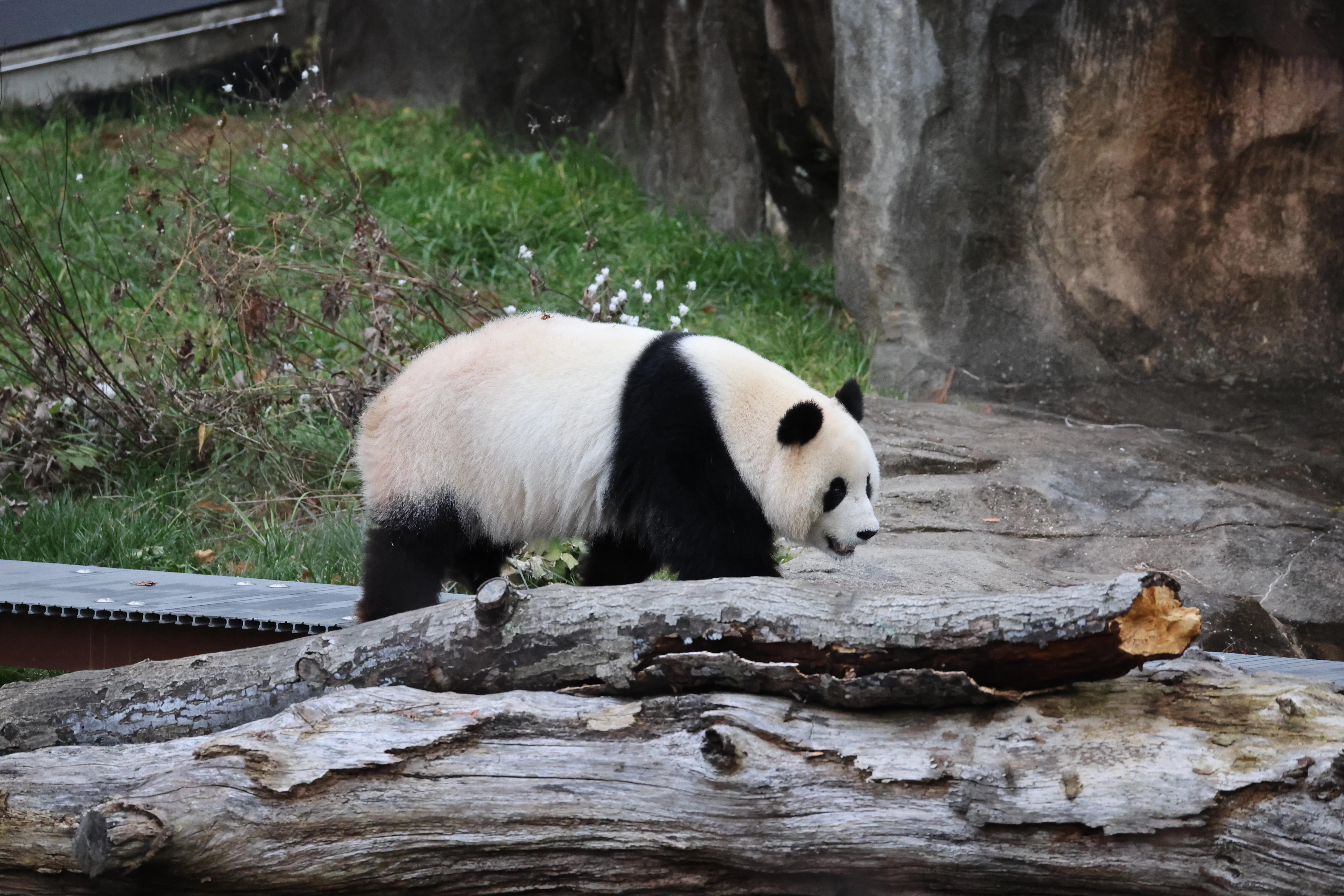 Smithsonian's National Zoo