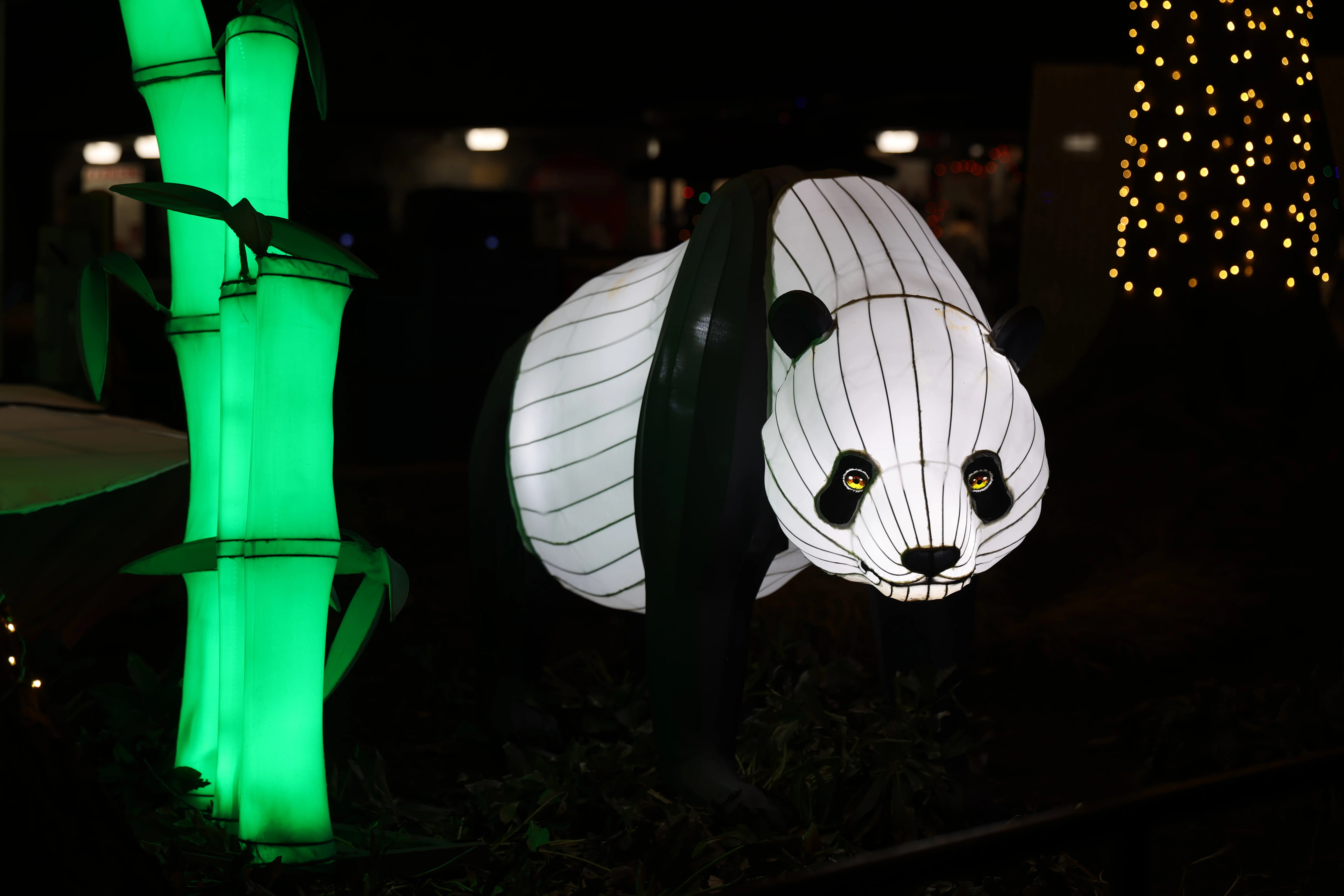 Zoo Lights
