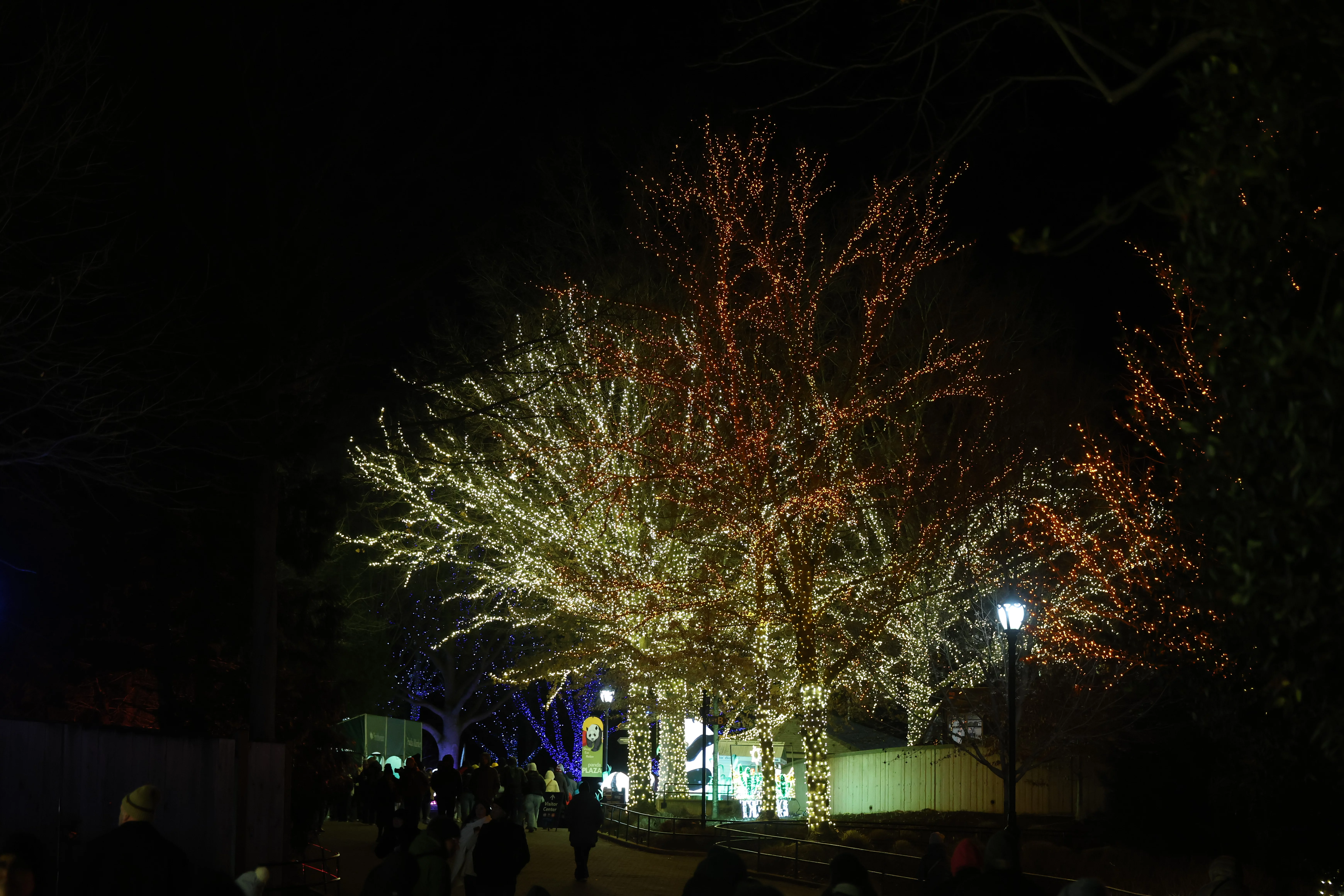 Zoo Lights