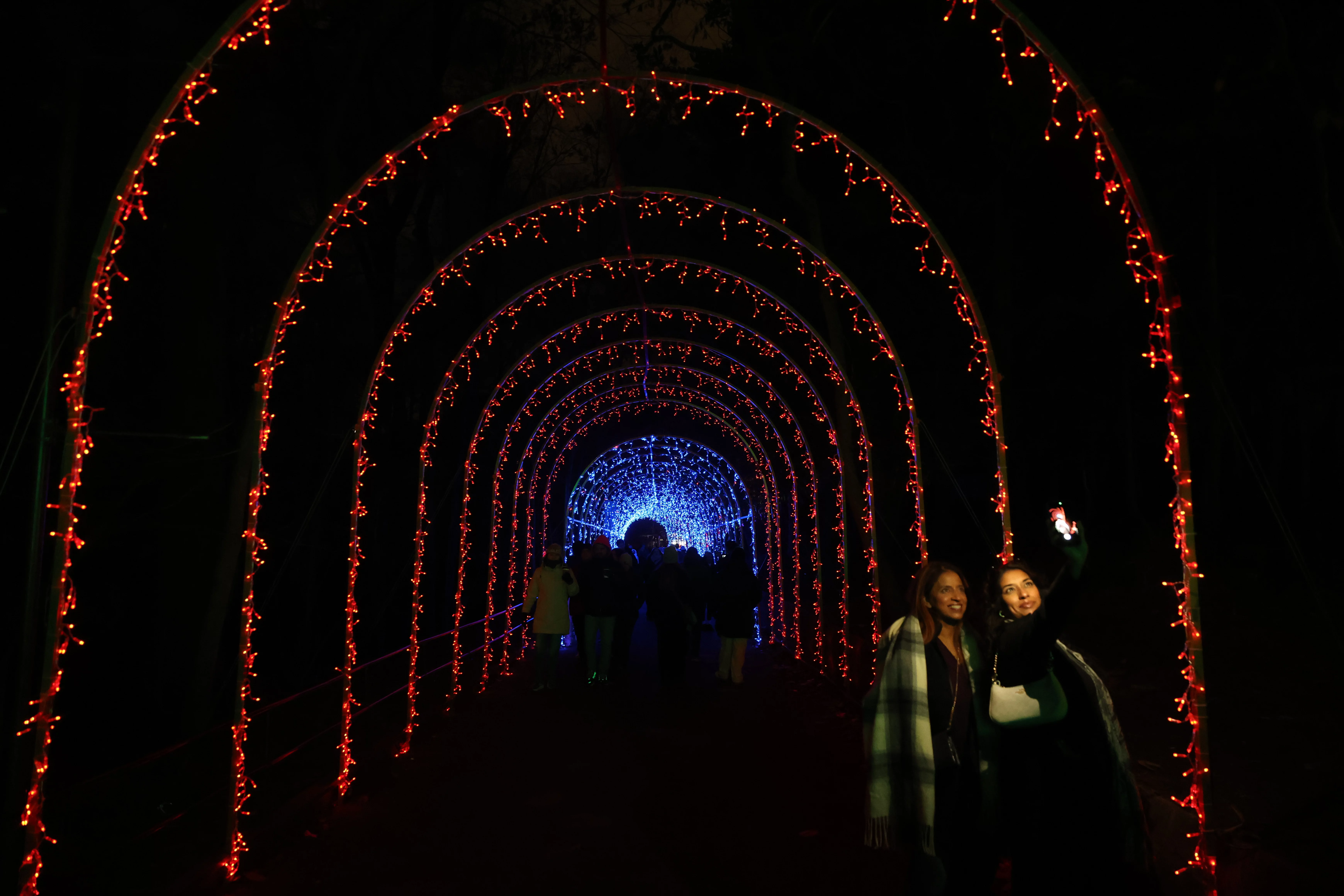 Zoo Lights