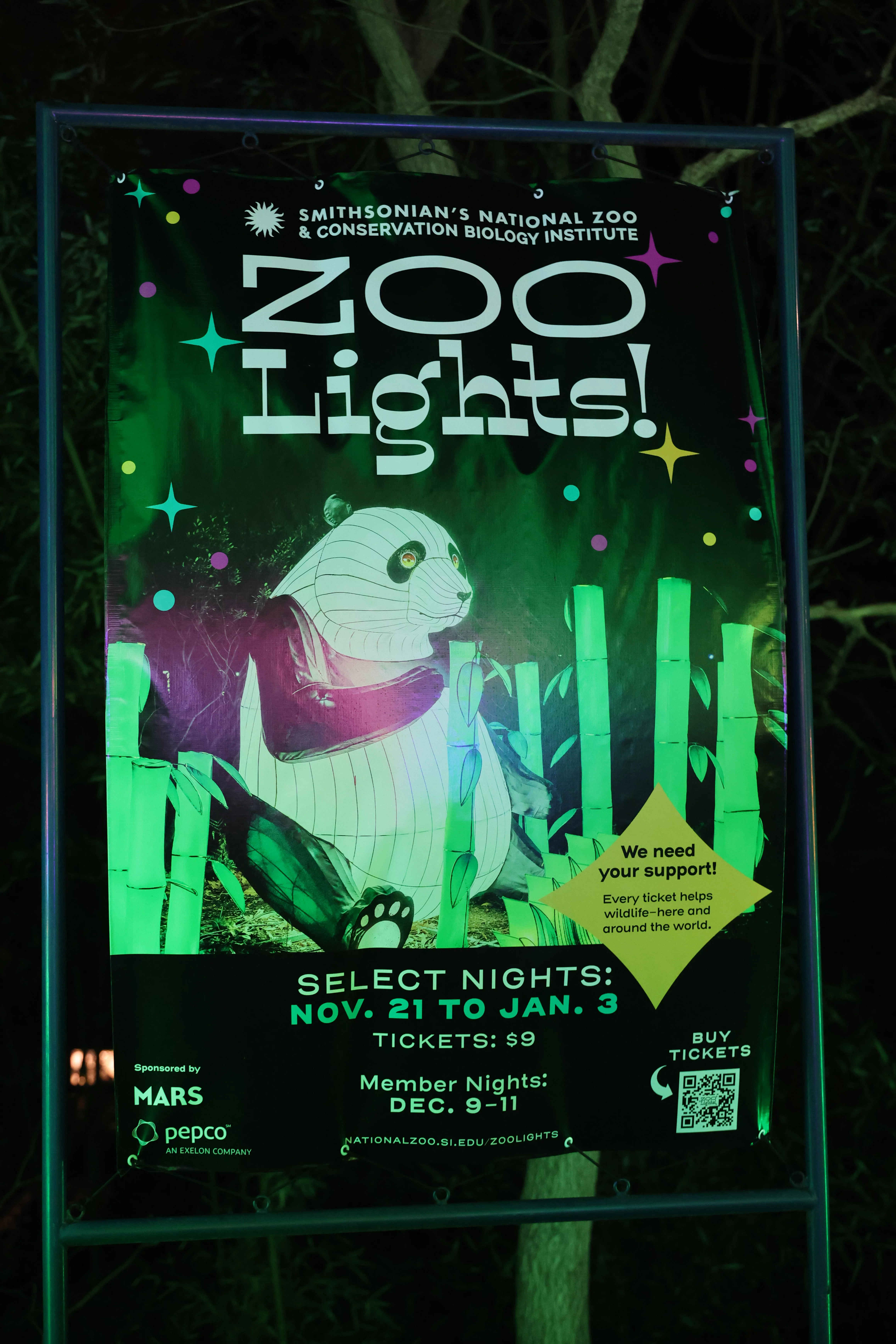 Zoo Lights