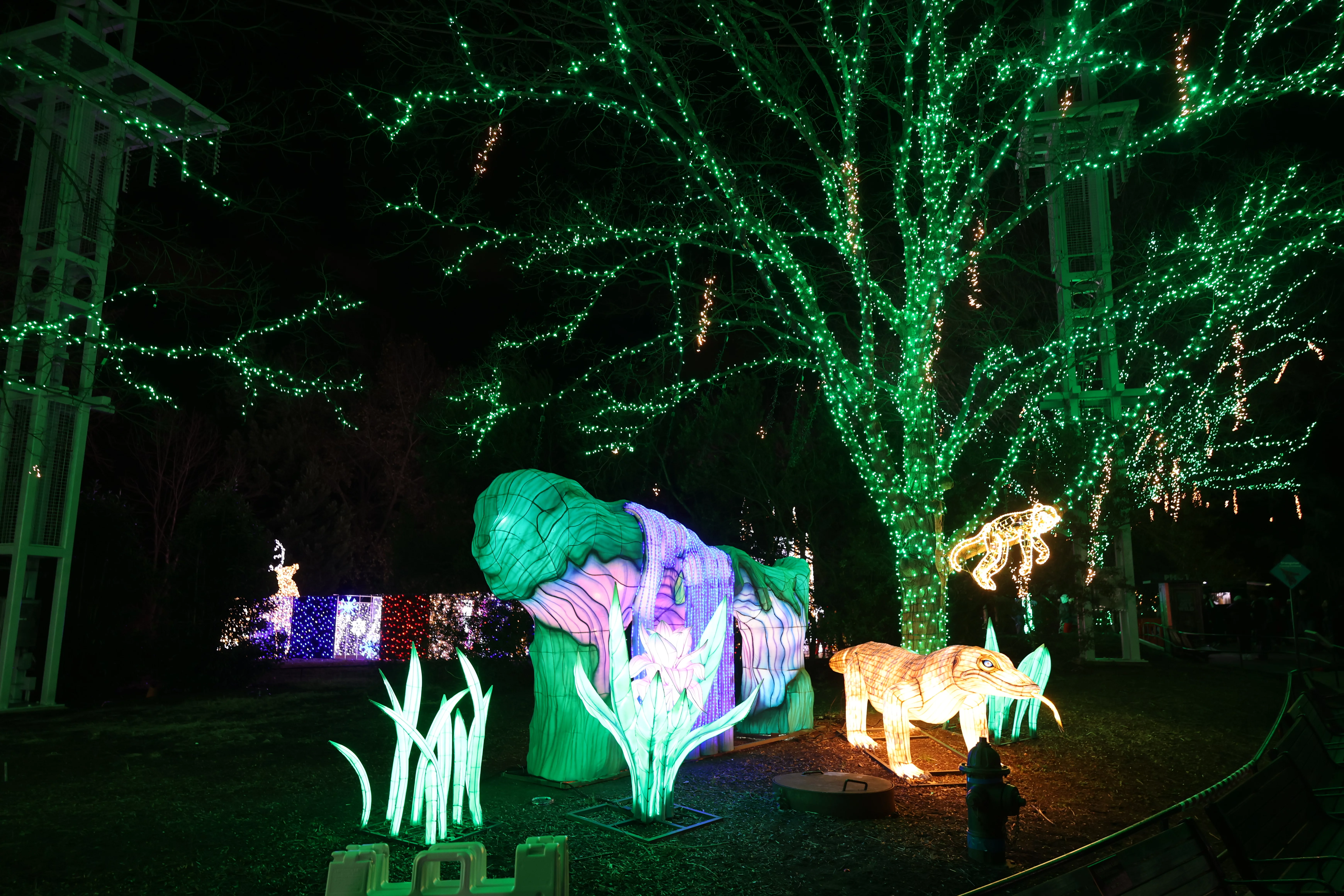 Zoo Lights