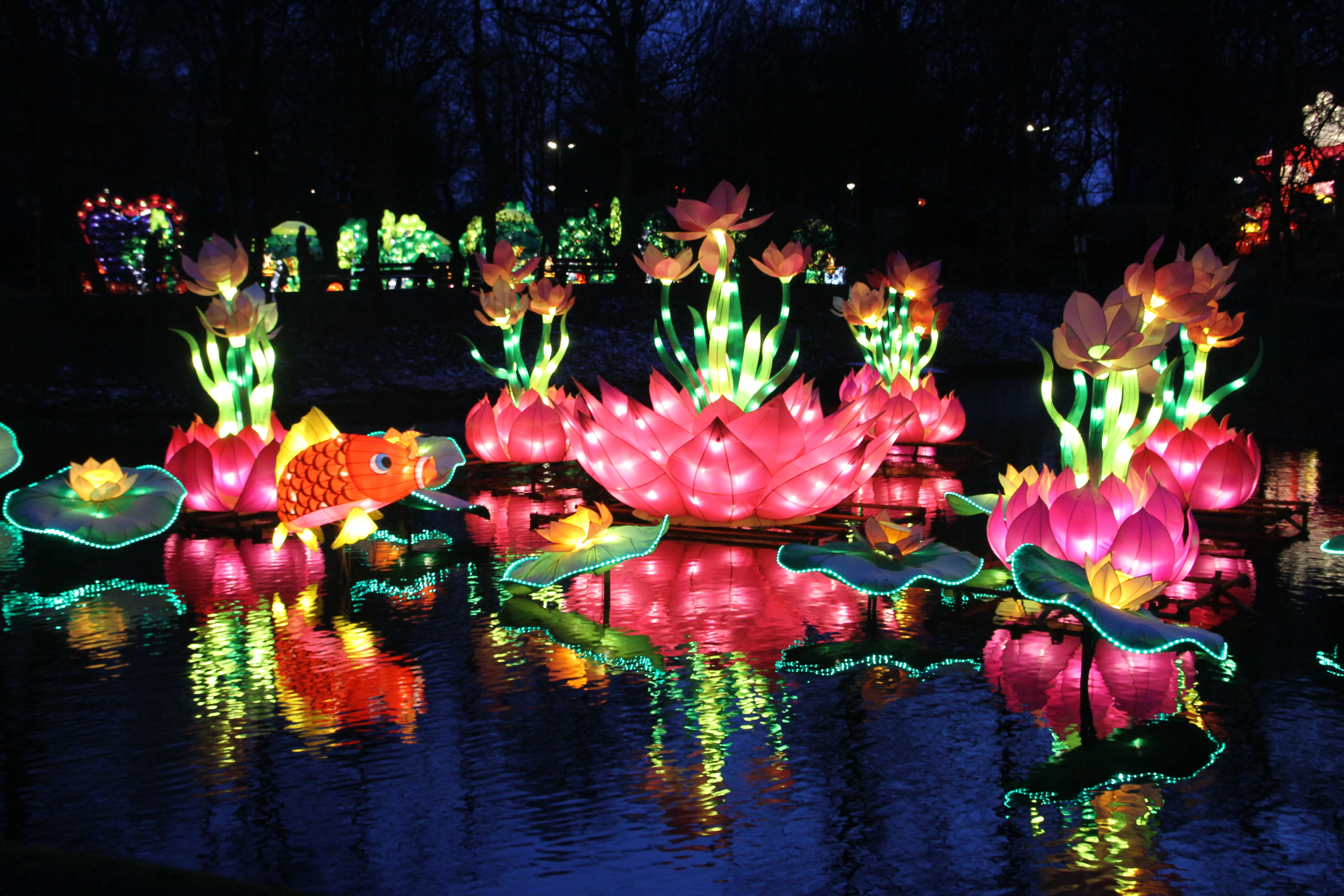 China Festival of Lights Rotterdam