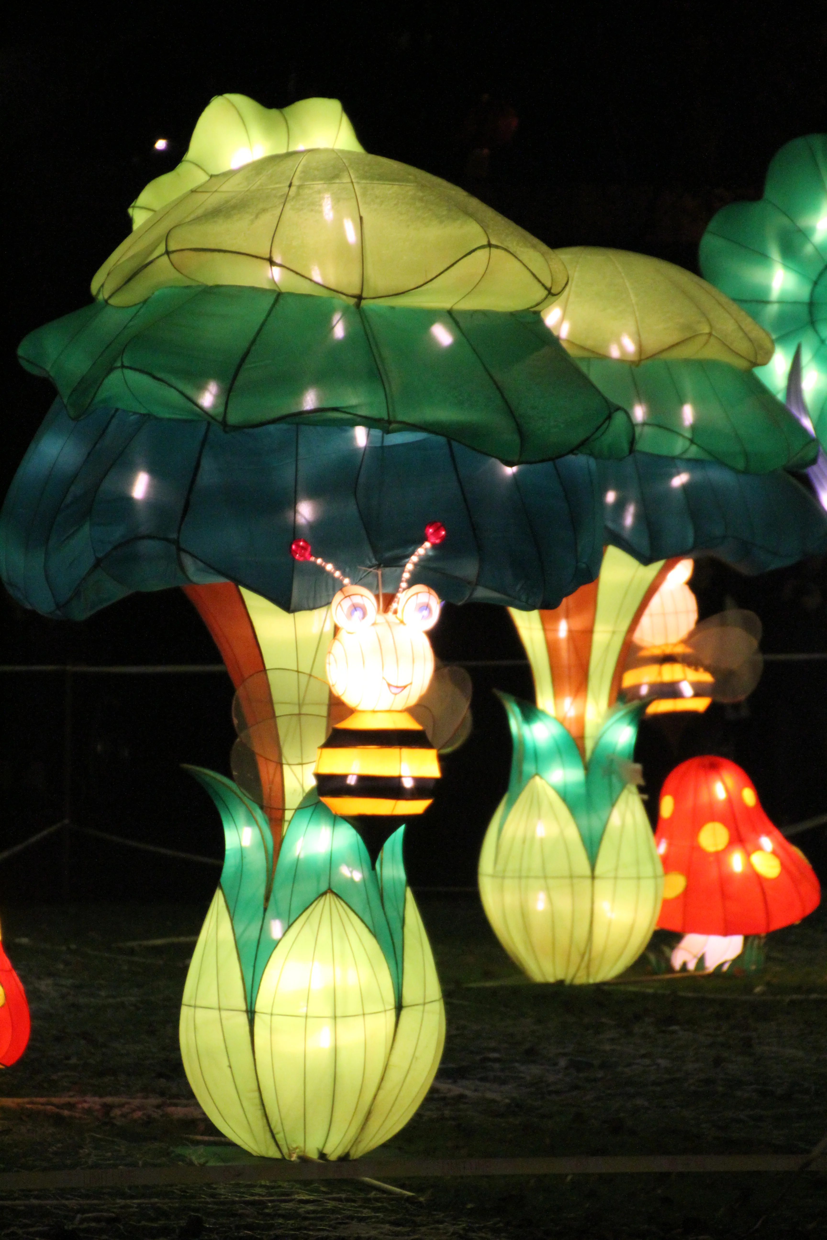 China Festival of Lights Rotterdam