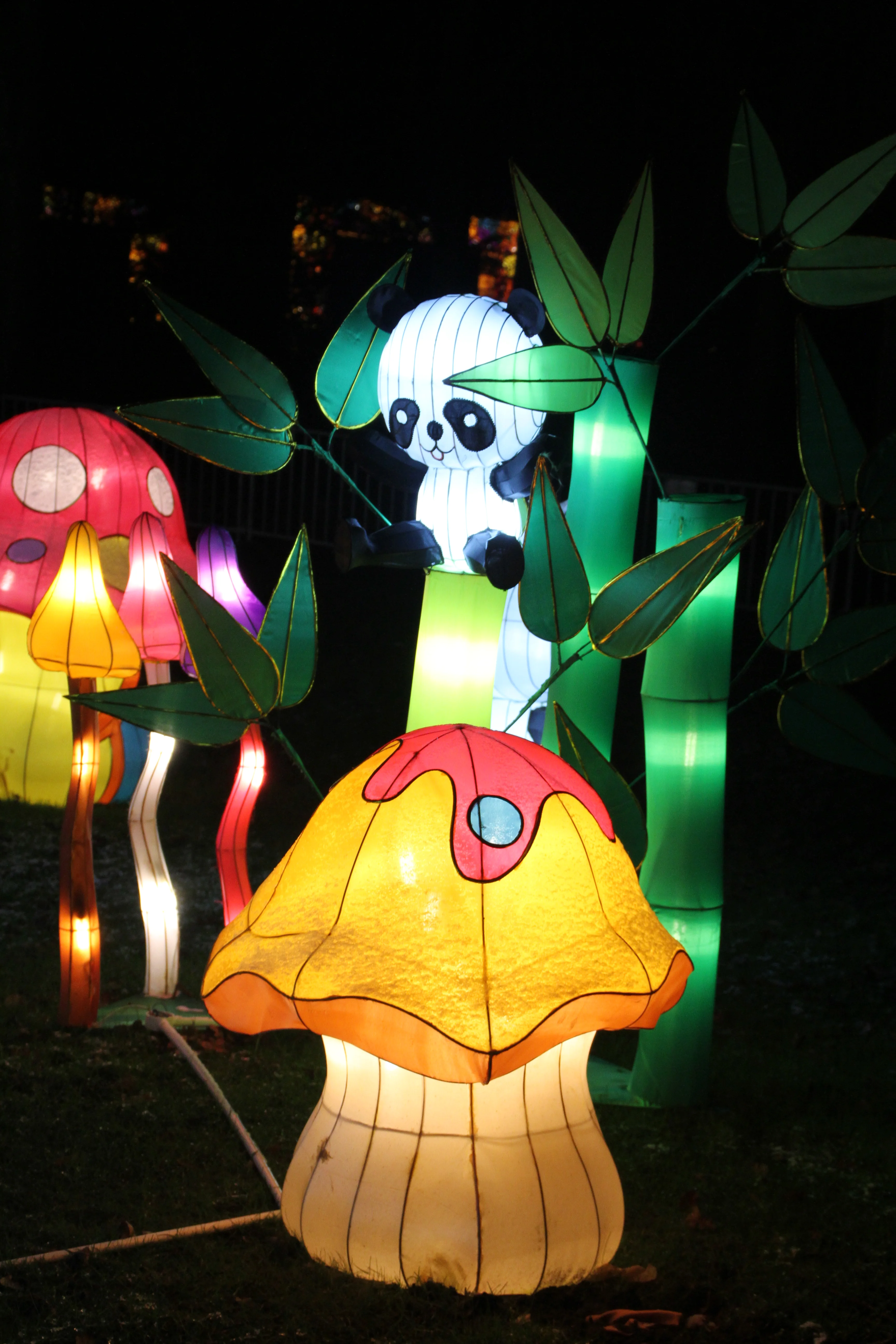 China Festival of Lights Rotterdam
