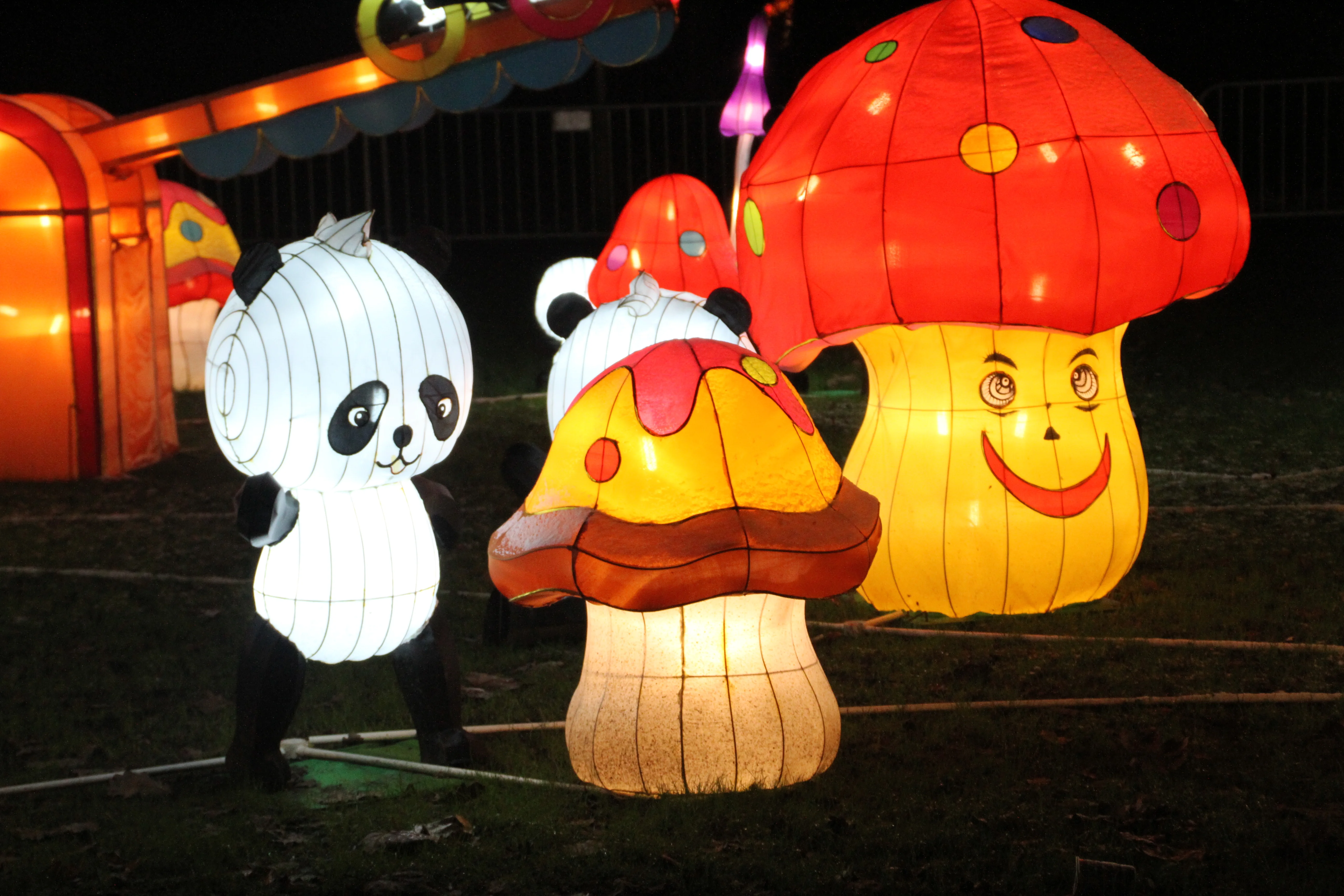 China Festival of Lights Rotterdam