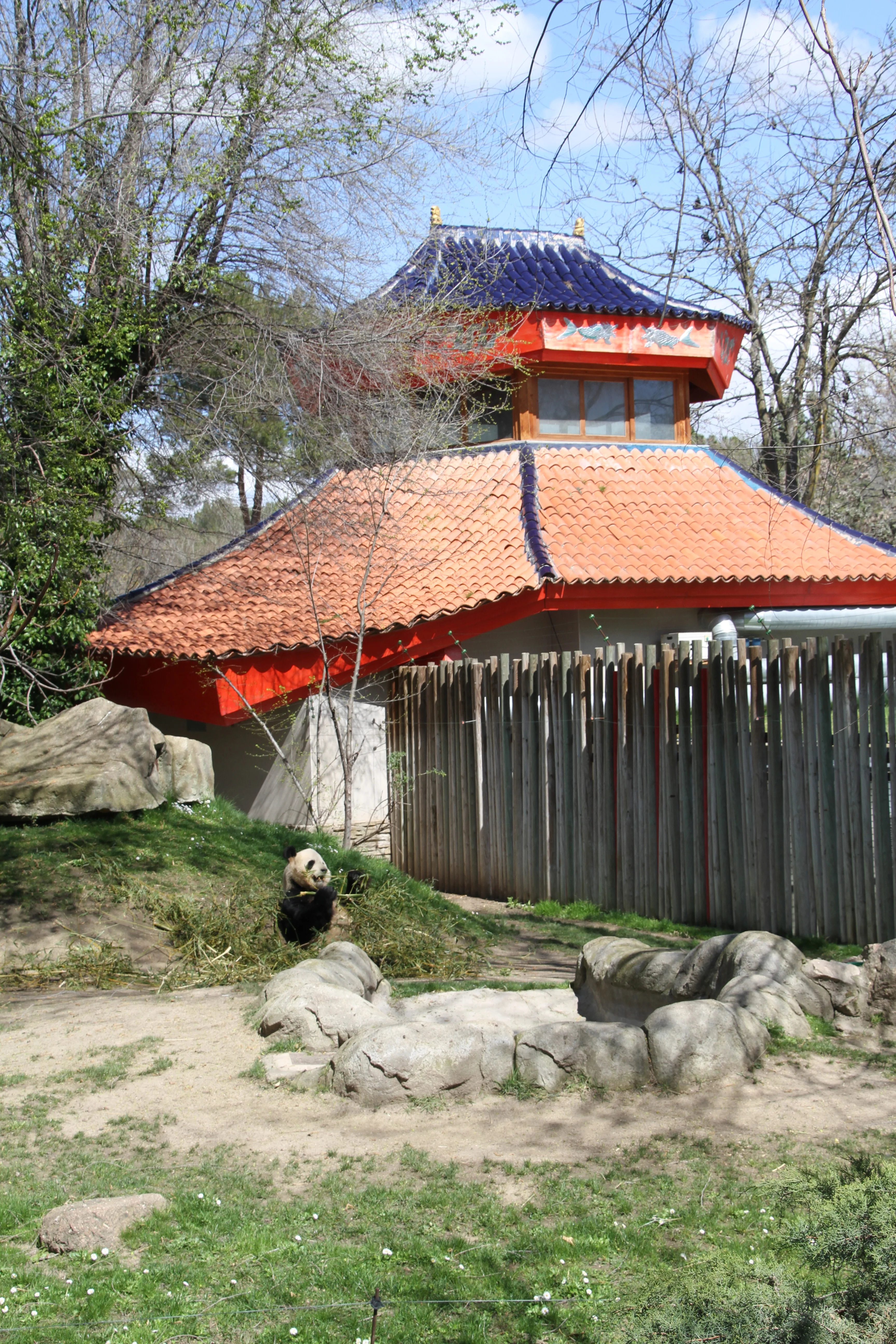 Zoo Madrid