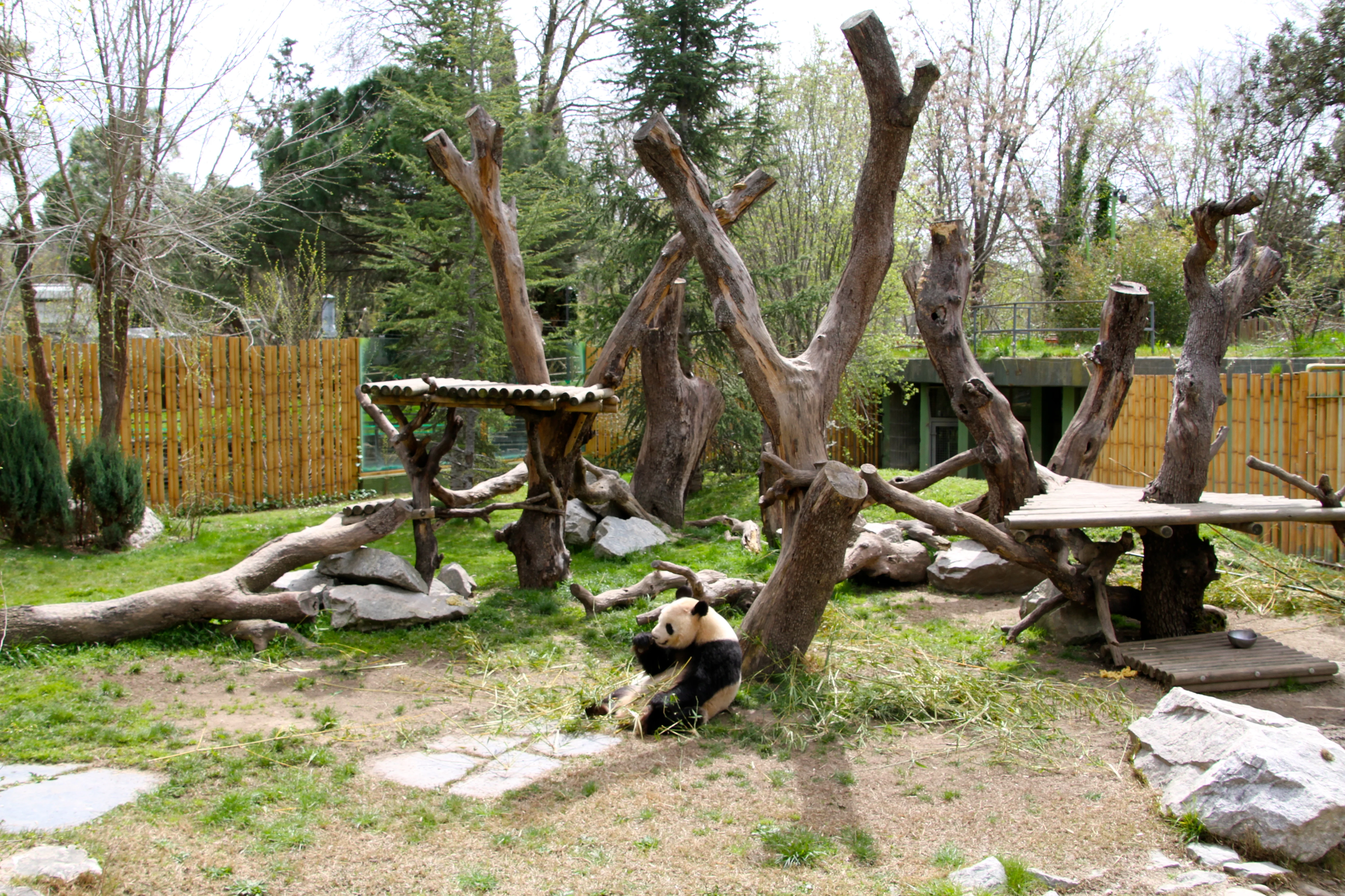 Zoo Madrid