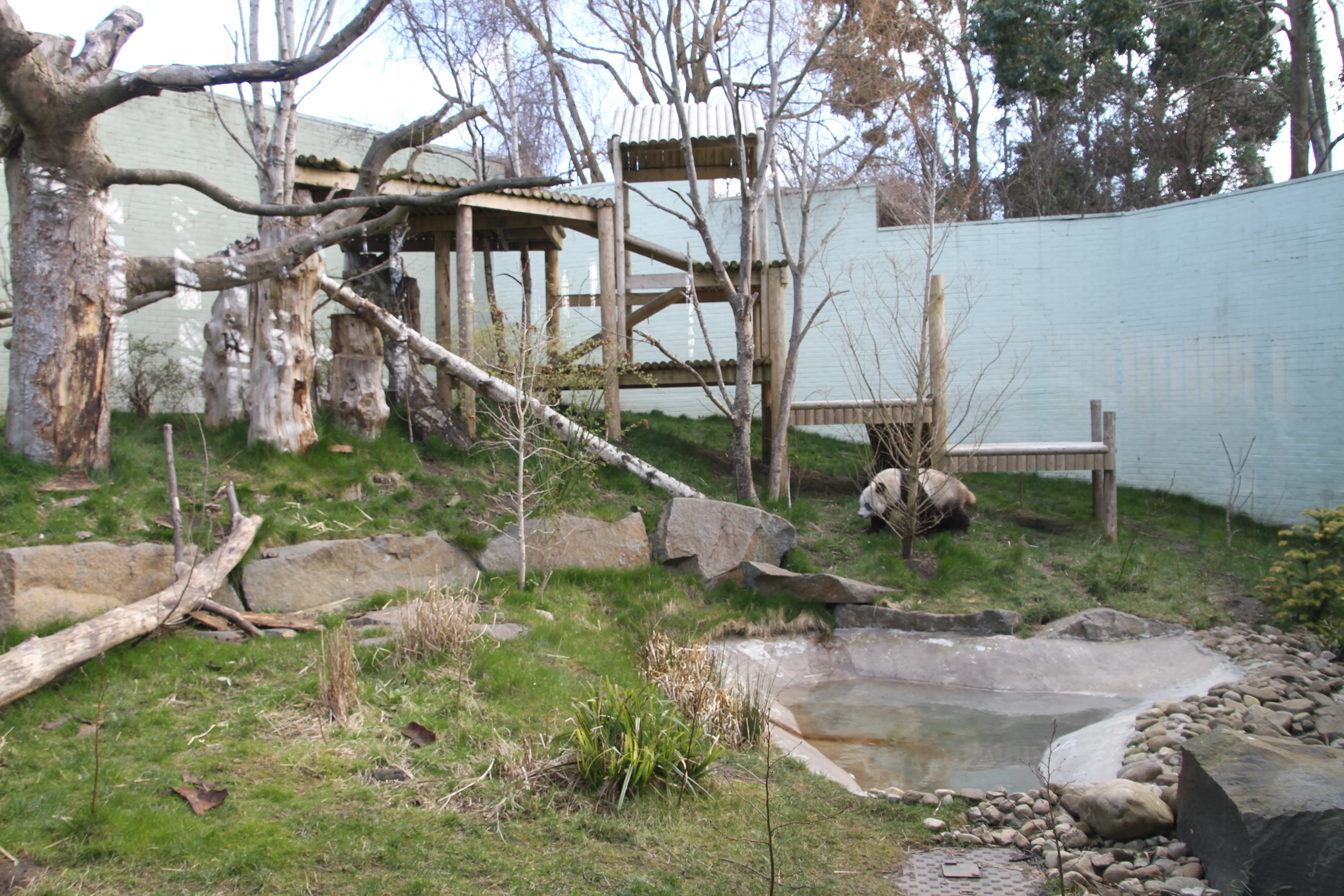 RZSS Edinburgh Zoo