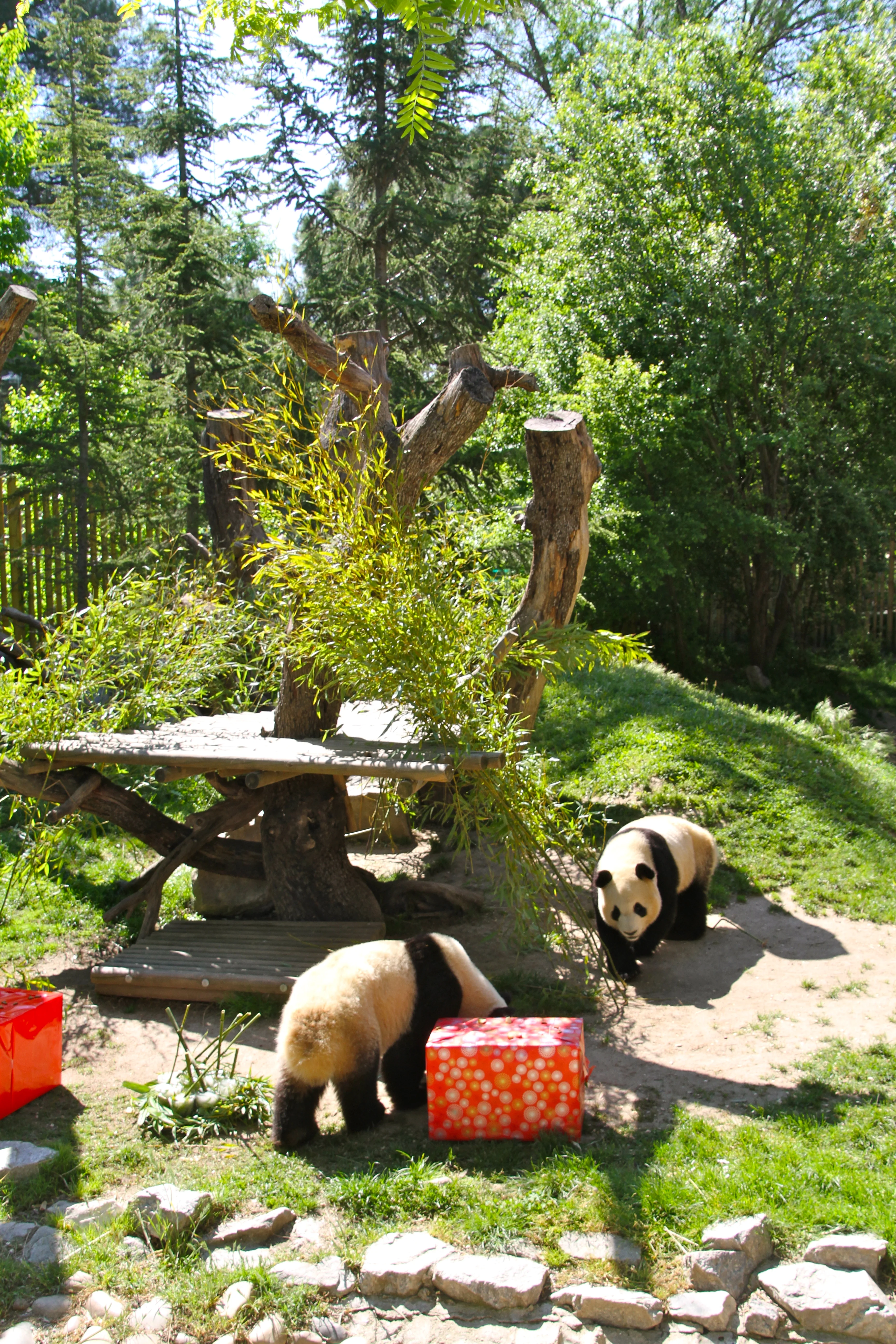 Zoo Madrid