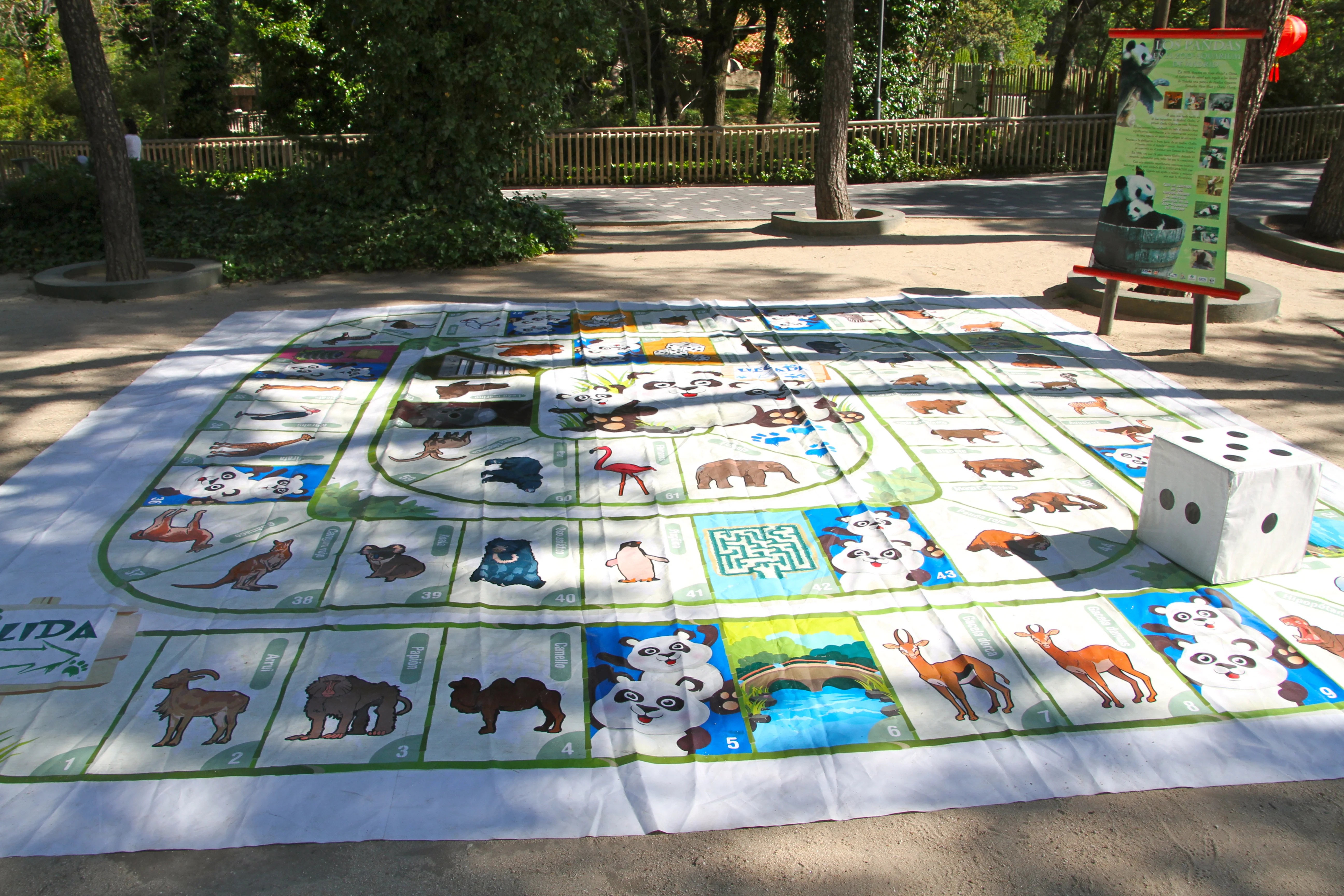 Zoo Madrid