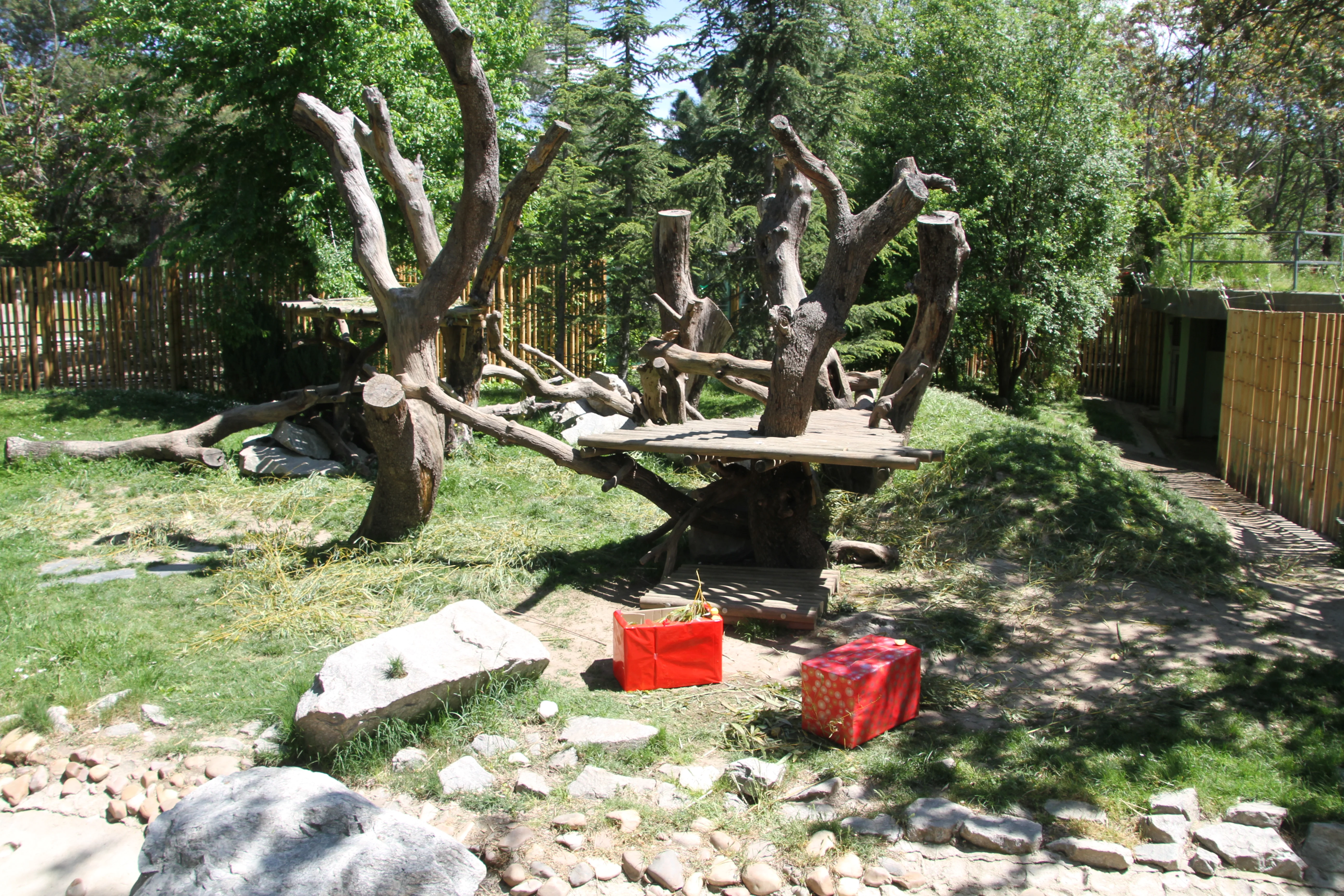 Zoo Madrid