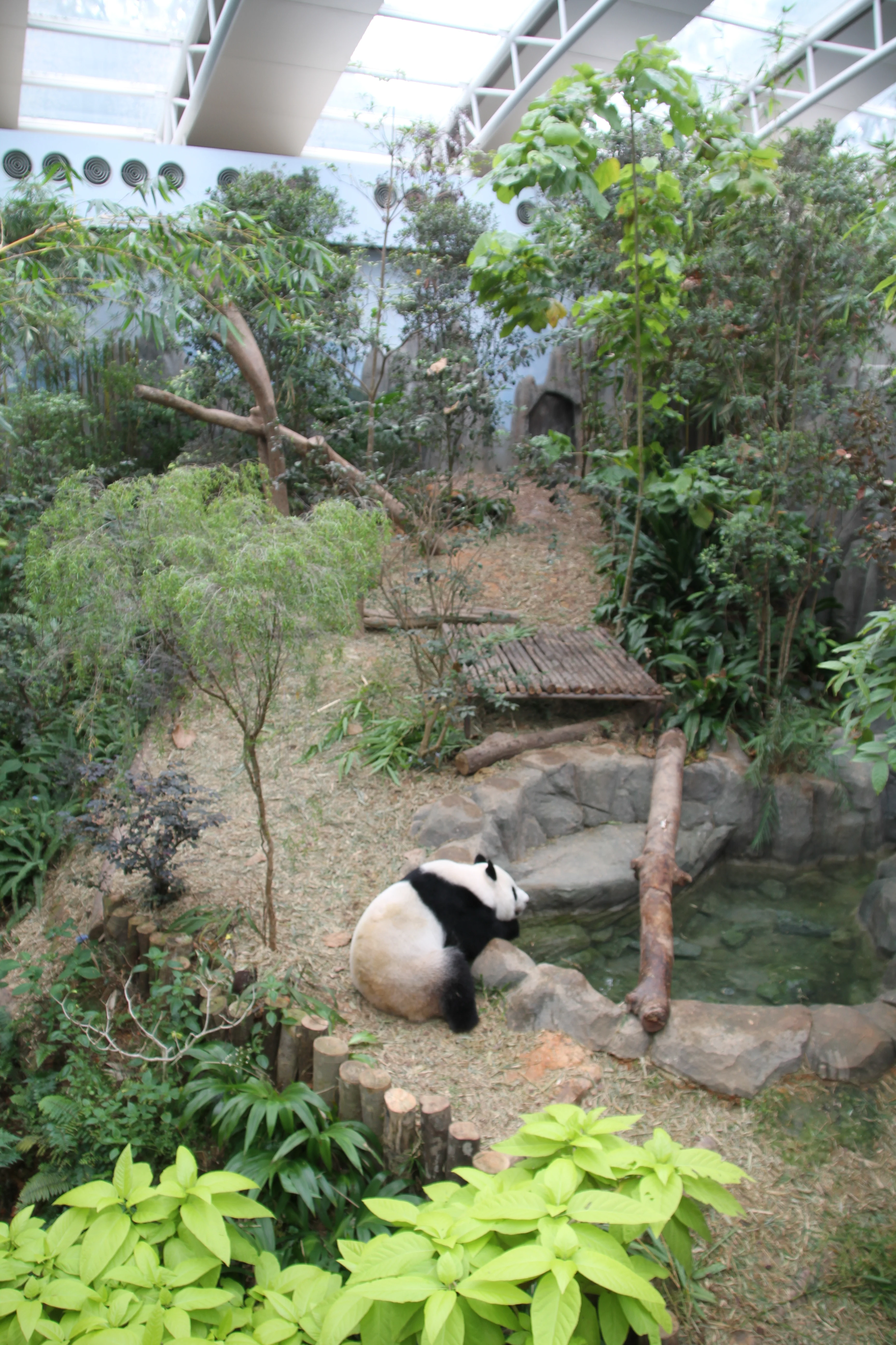 WRS River Safari