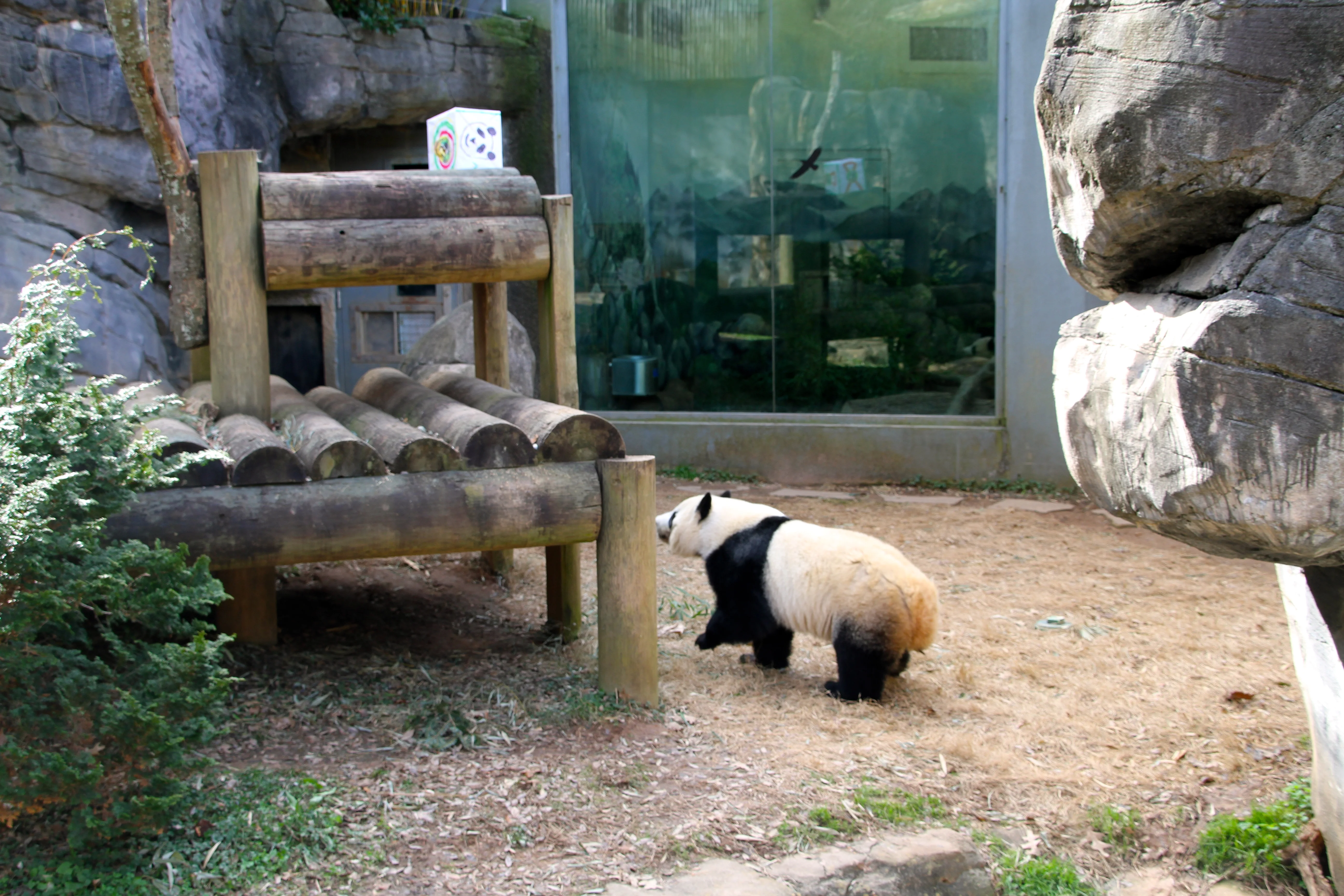 Giant Panda Zoo Awards 2013 Ceremony