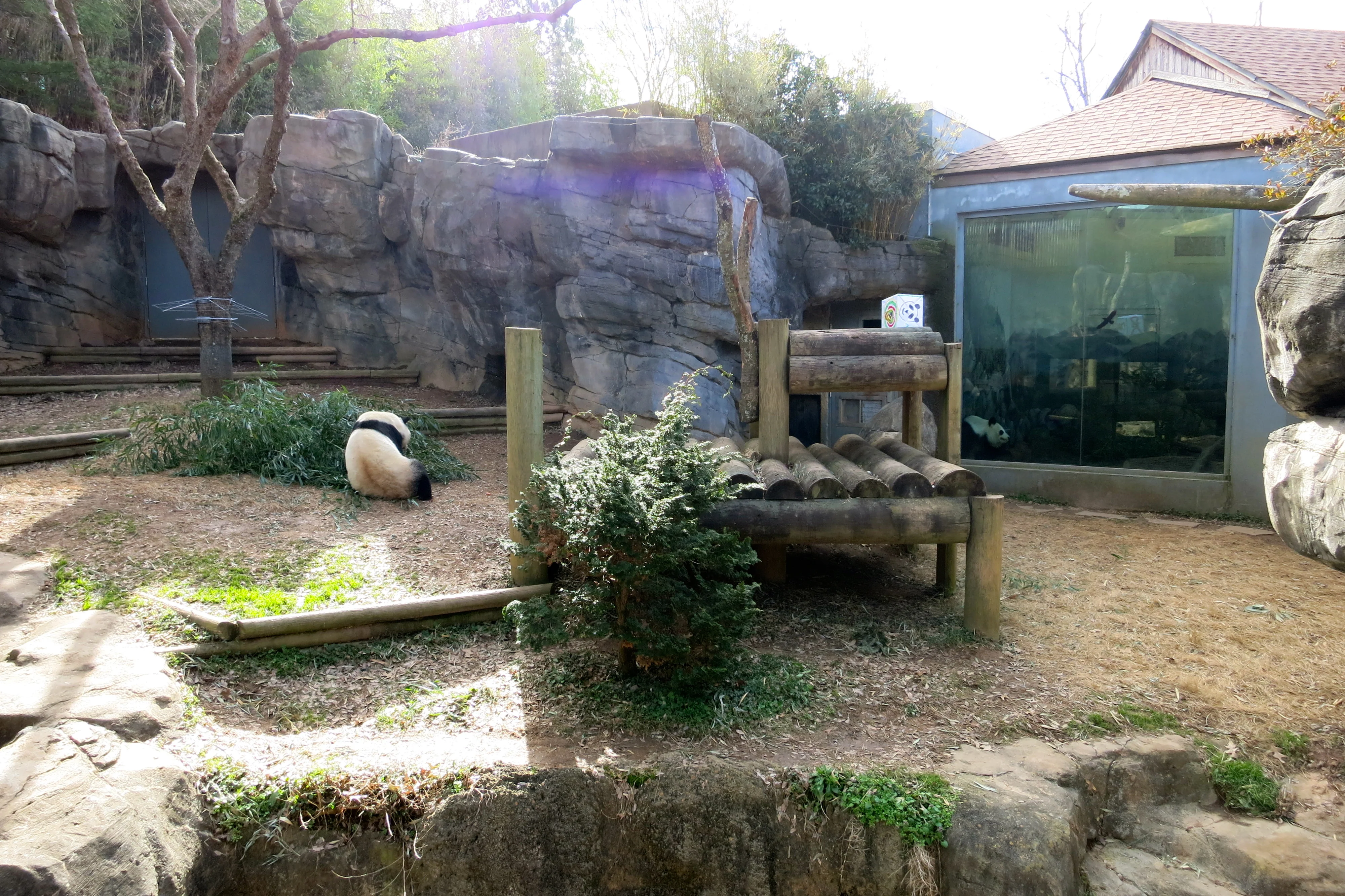 Giant Panda Zoo Awards 2013 Ceremony