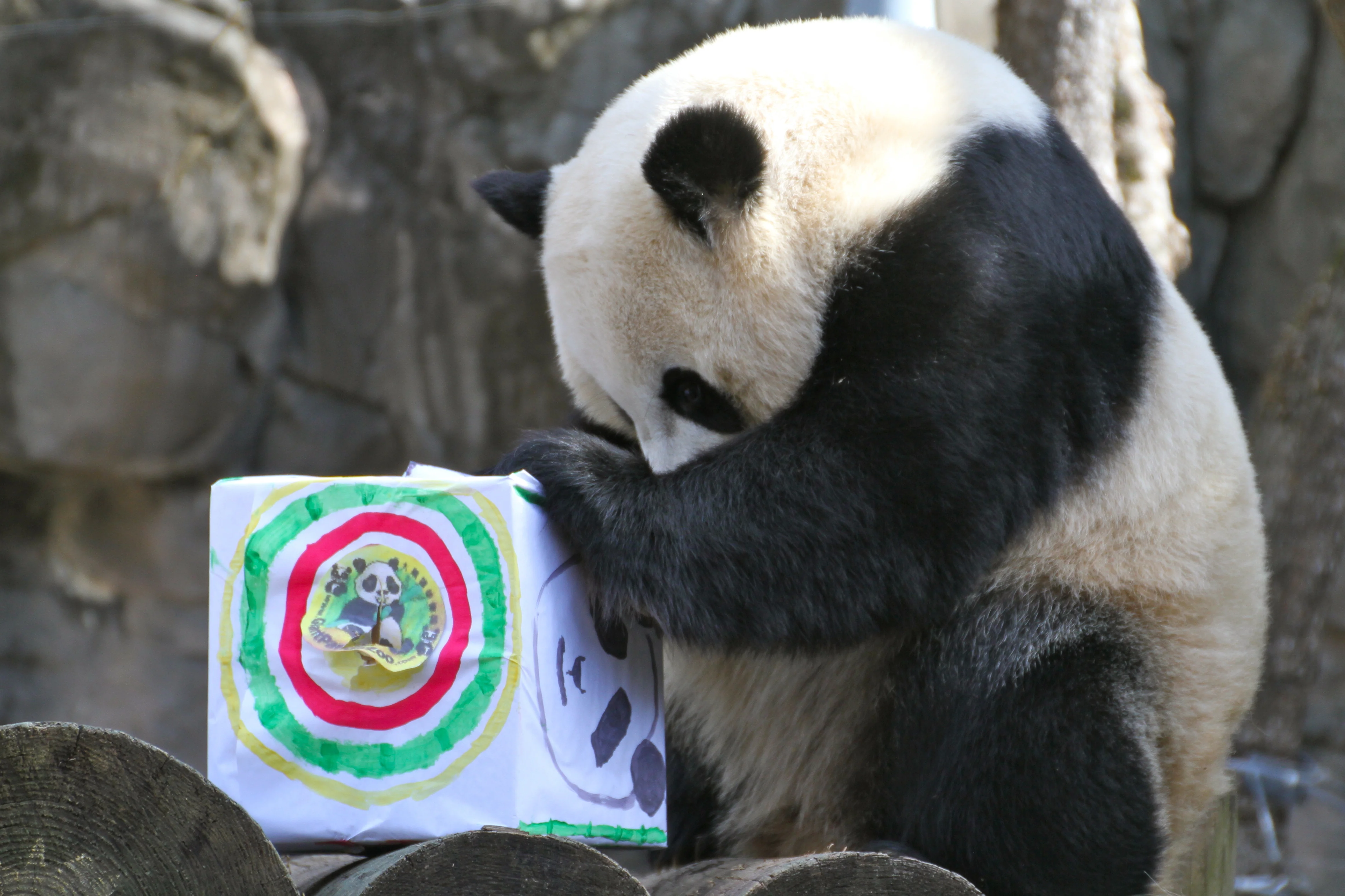 Giant Panda Zoo Awards 2013 Ceremony