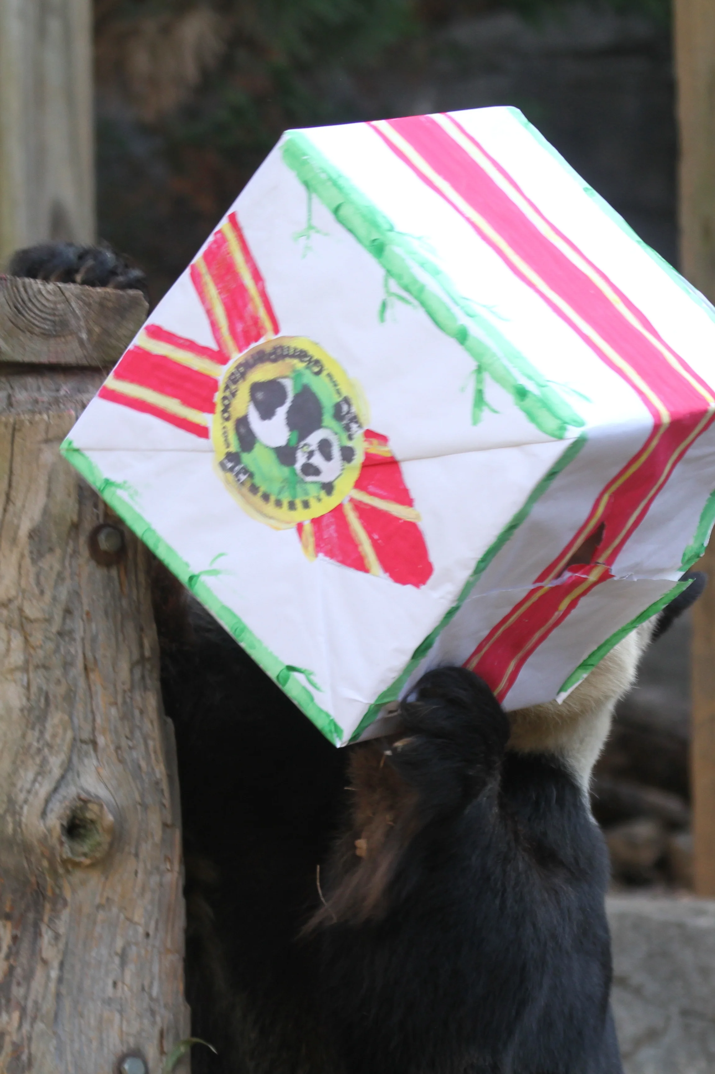 Giant Panda Zoo Awards 2013 Ceremony