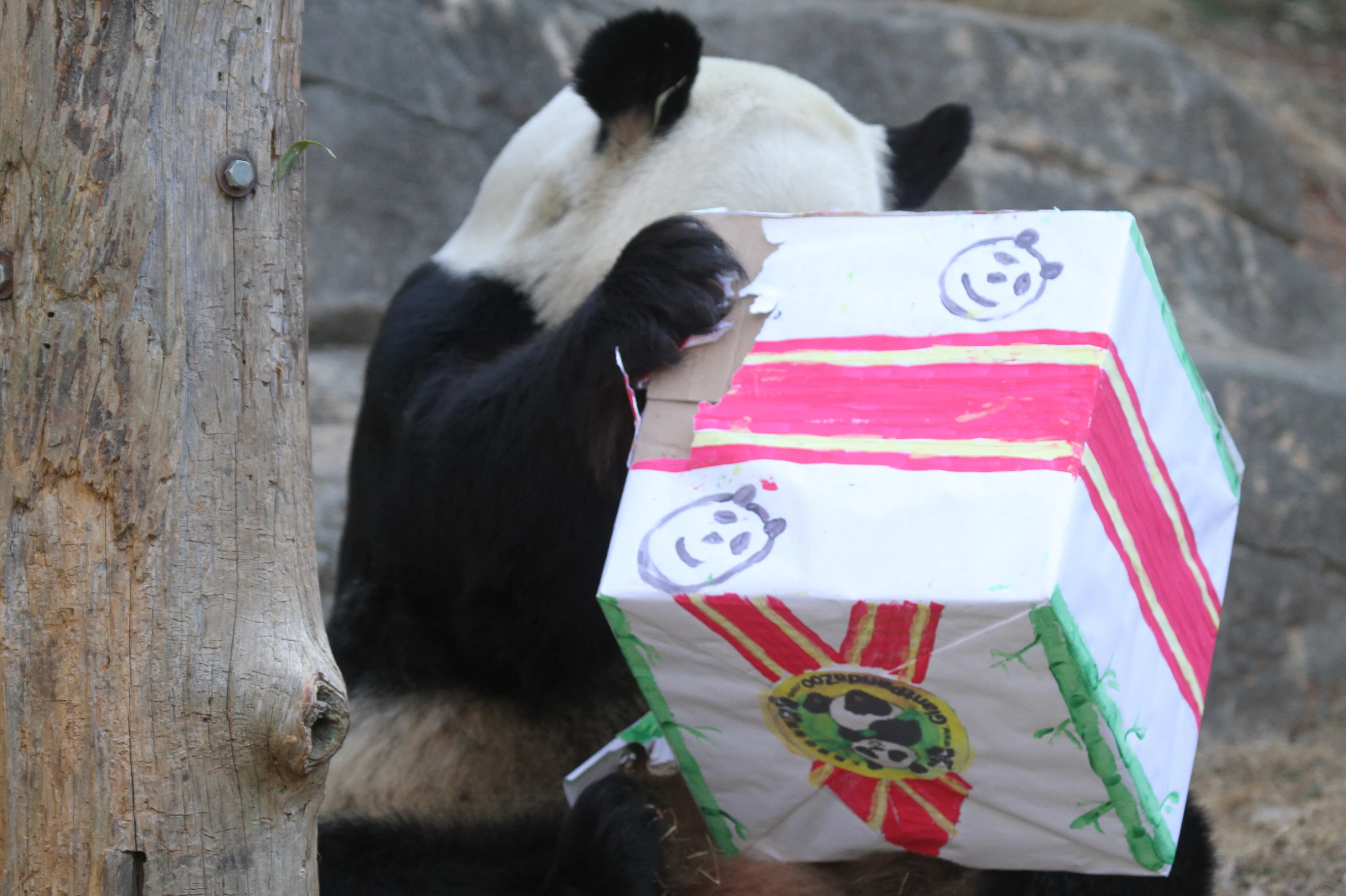 Giant Panda Zoo Awards 2013 Ceremony