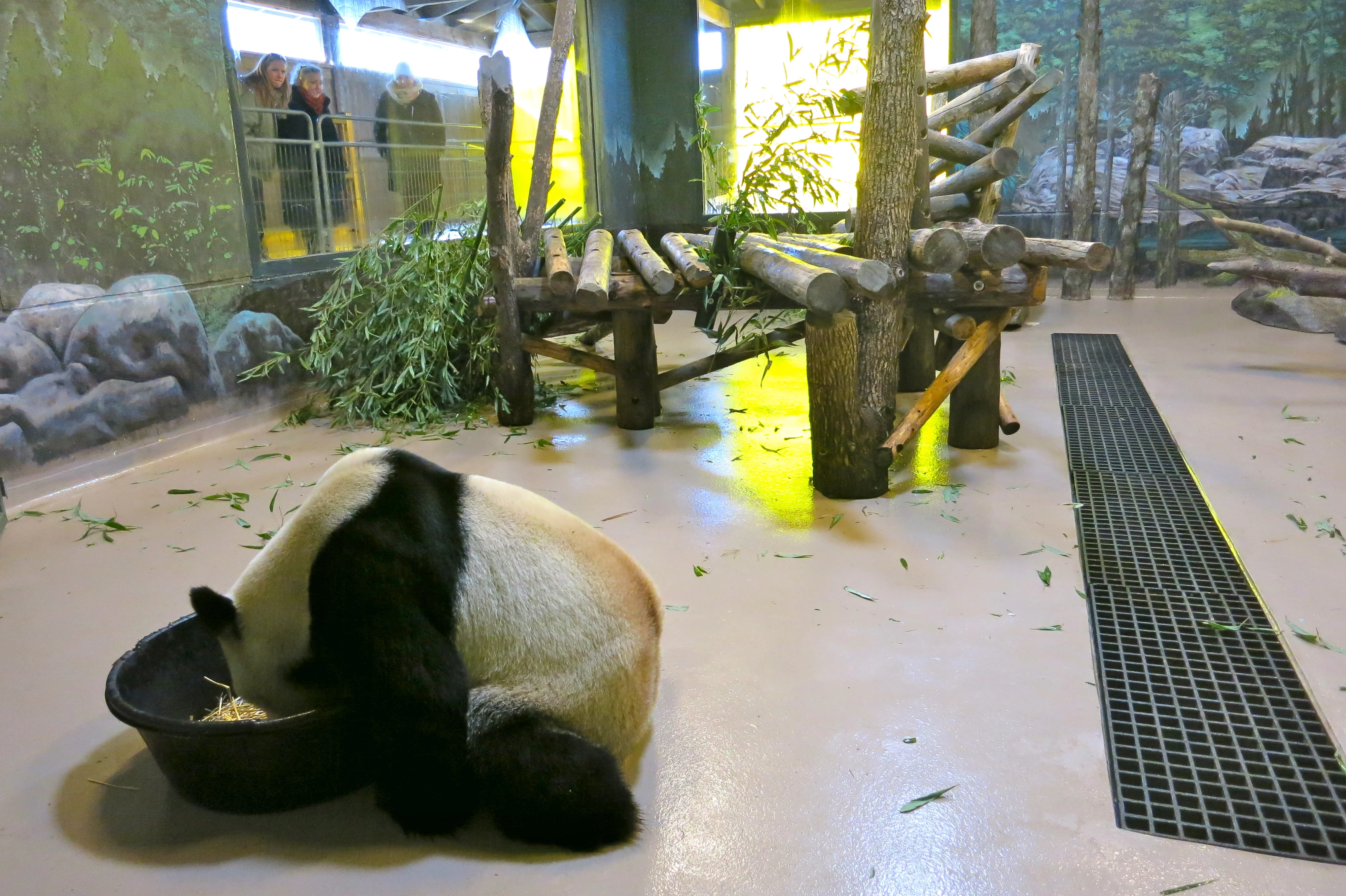 Toronto Zoo