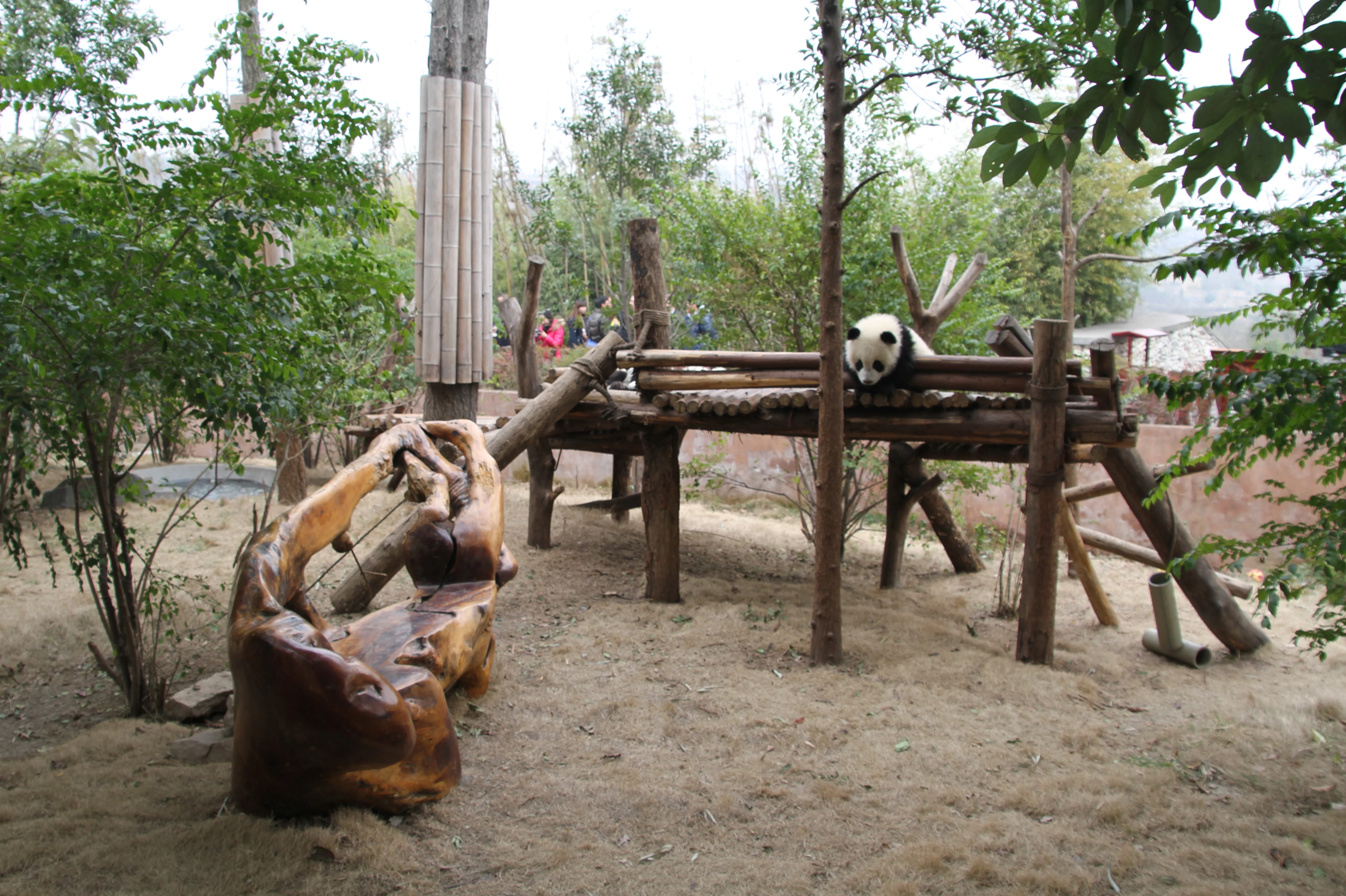 Chengdu Research Base of Giant Panda Breeding